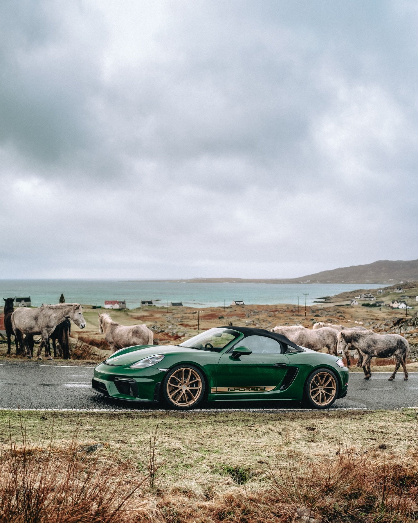 meeting the locals 🏴󠁧󠁢󠁳󠁣󠁴󠁿 

#porsche#boxsterspyder#porschemoment #outerhebredies#visitscotland