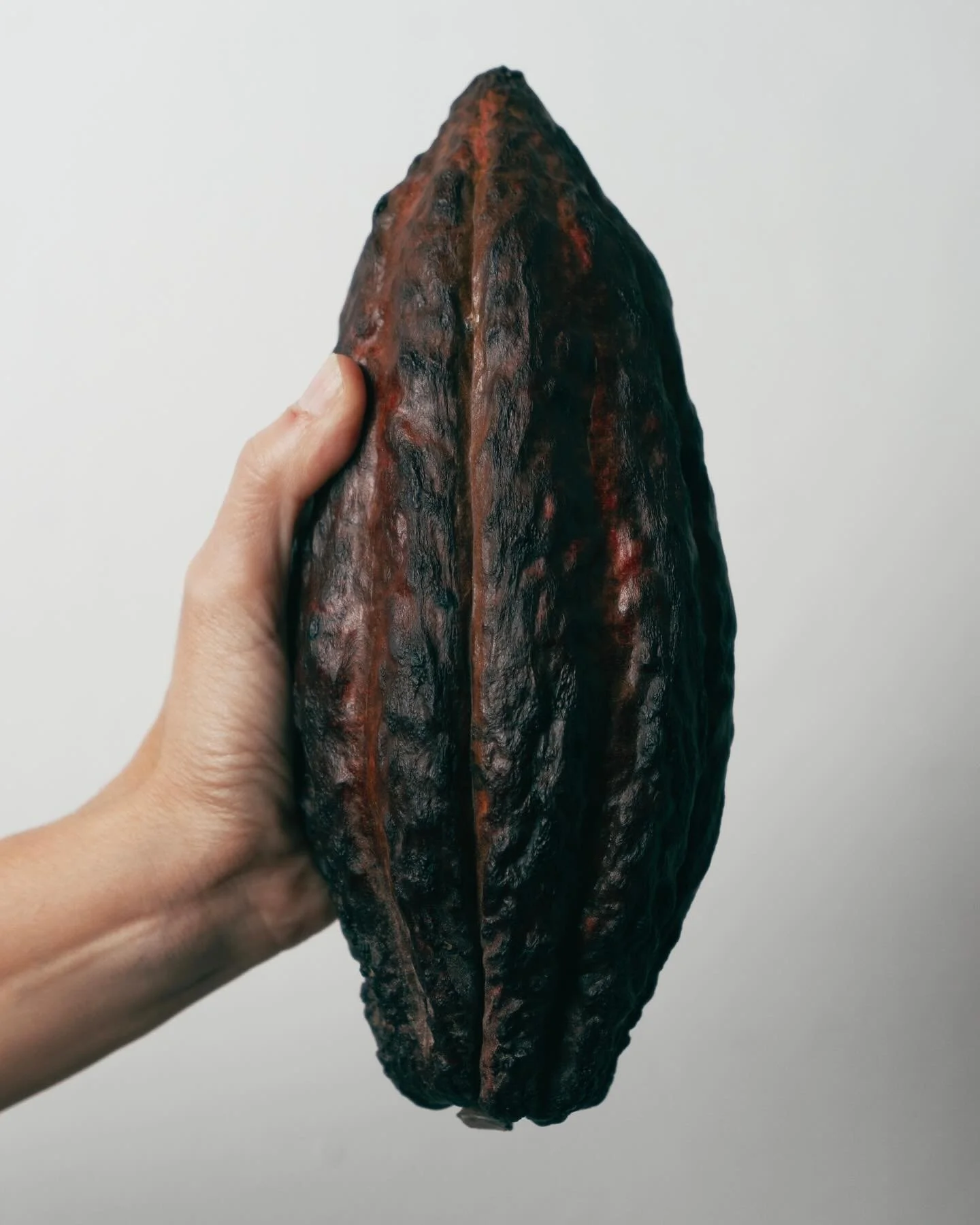 Throwback to Maqu Lab for @berlinfashionwe @studio2retail