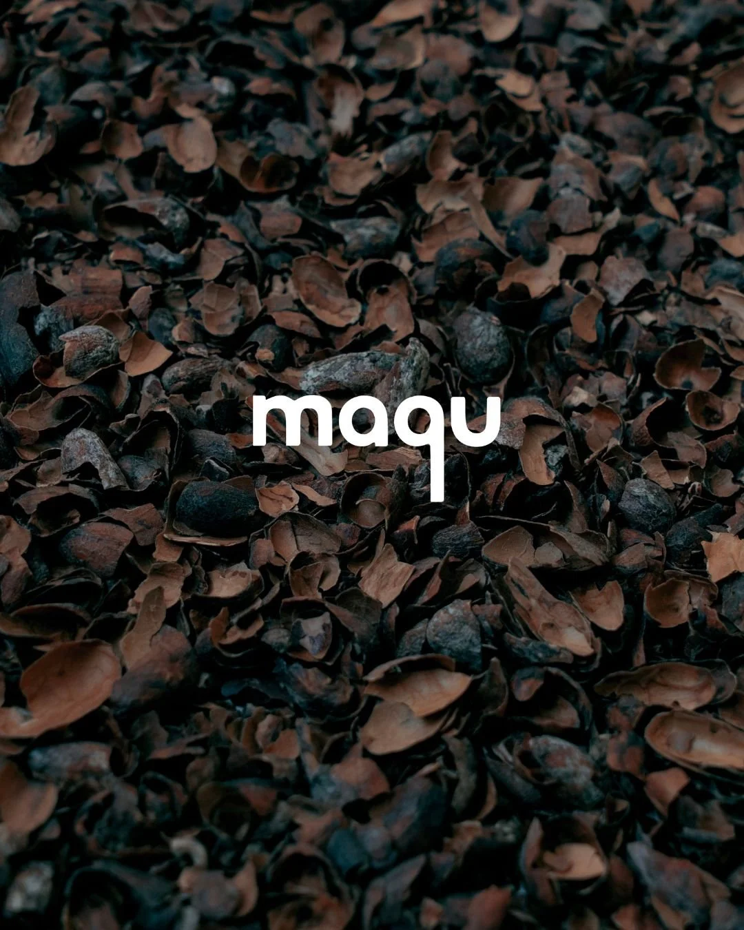 What was once discarded becomes possibility- this is La Dama del Cacao