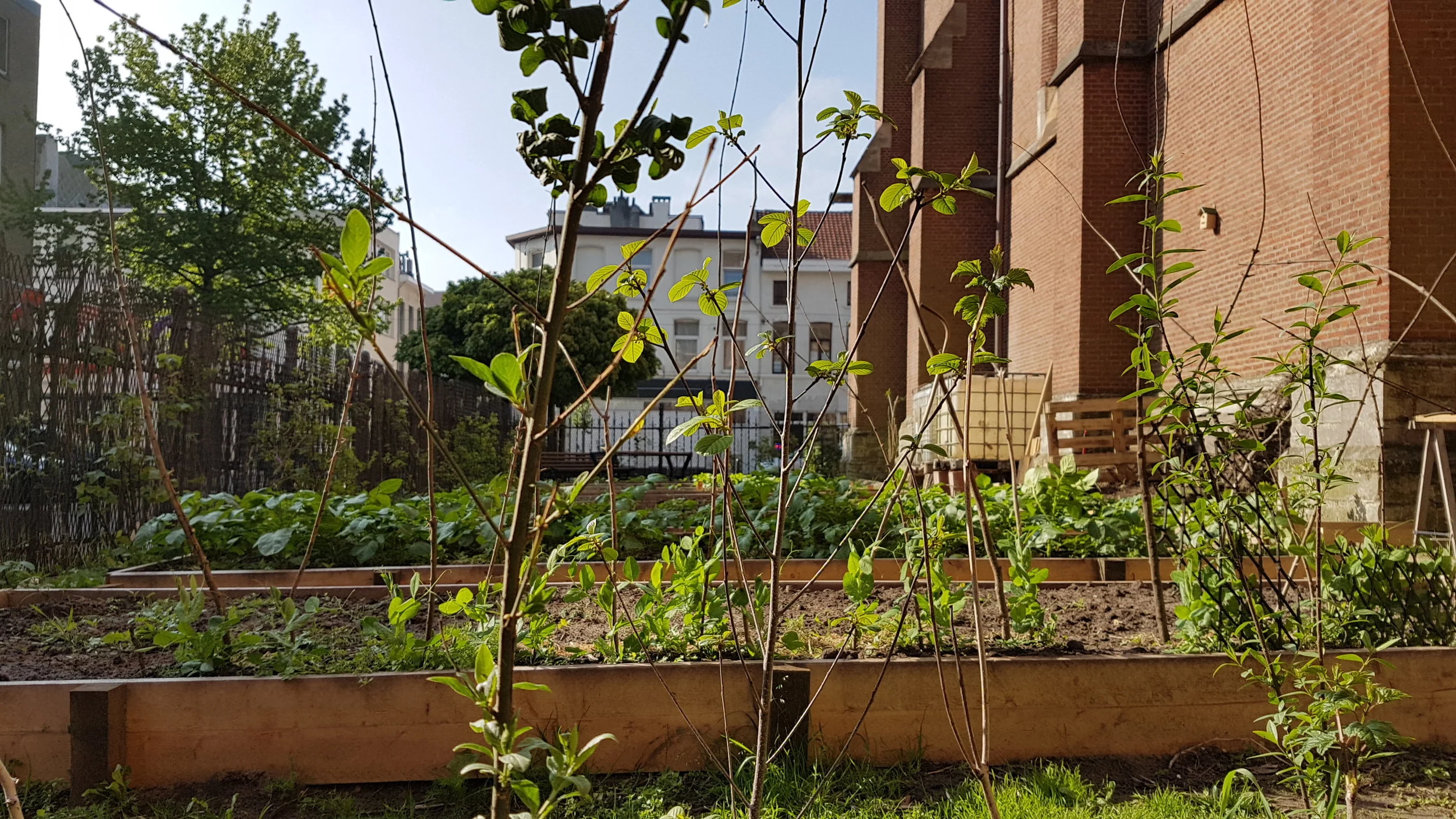 Samentuin Seefhoek