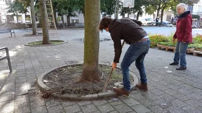 Boomspiegel.jpg