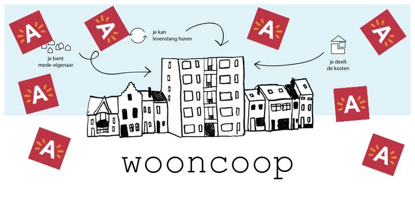 wooncoo 2p.jpeg