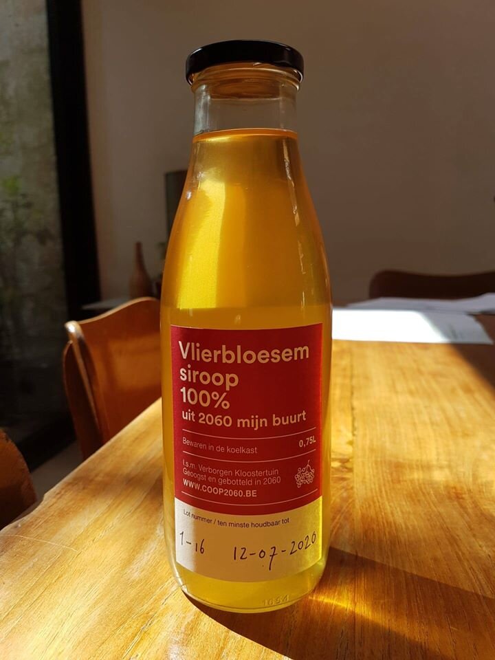 vlierbloesem 2060.jpg