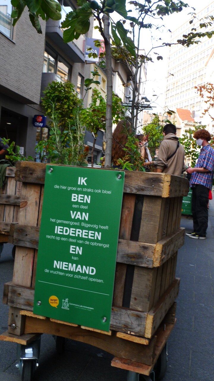 voedselbos - 19 van 30.jpeg
