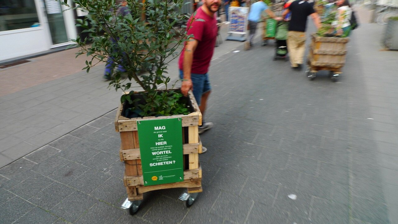 voedselbos - 23 van 30.jpeg