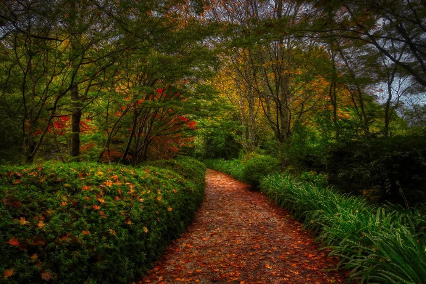 Magnificently magical forest as imagined from my kid's story book at Bebeah Gardens
#bebeahgardens_mountwilson #mtwilson #oilpaintingoncanvas #localphotographer #mbdigitalphotography #visitnsw #travelnsw #travelsydney #landscapephotographer #lovenatu