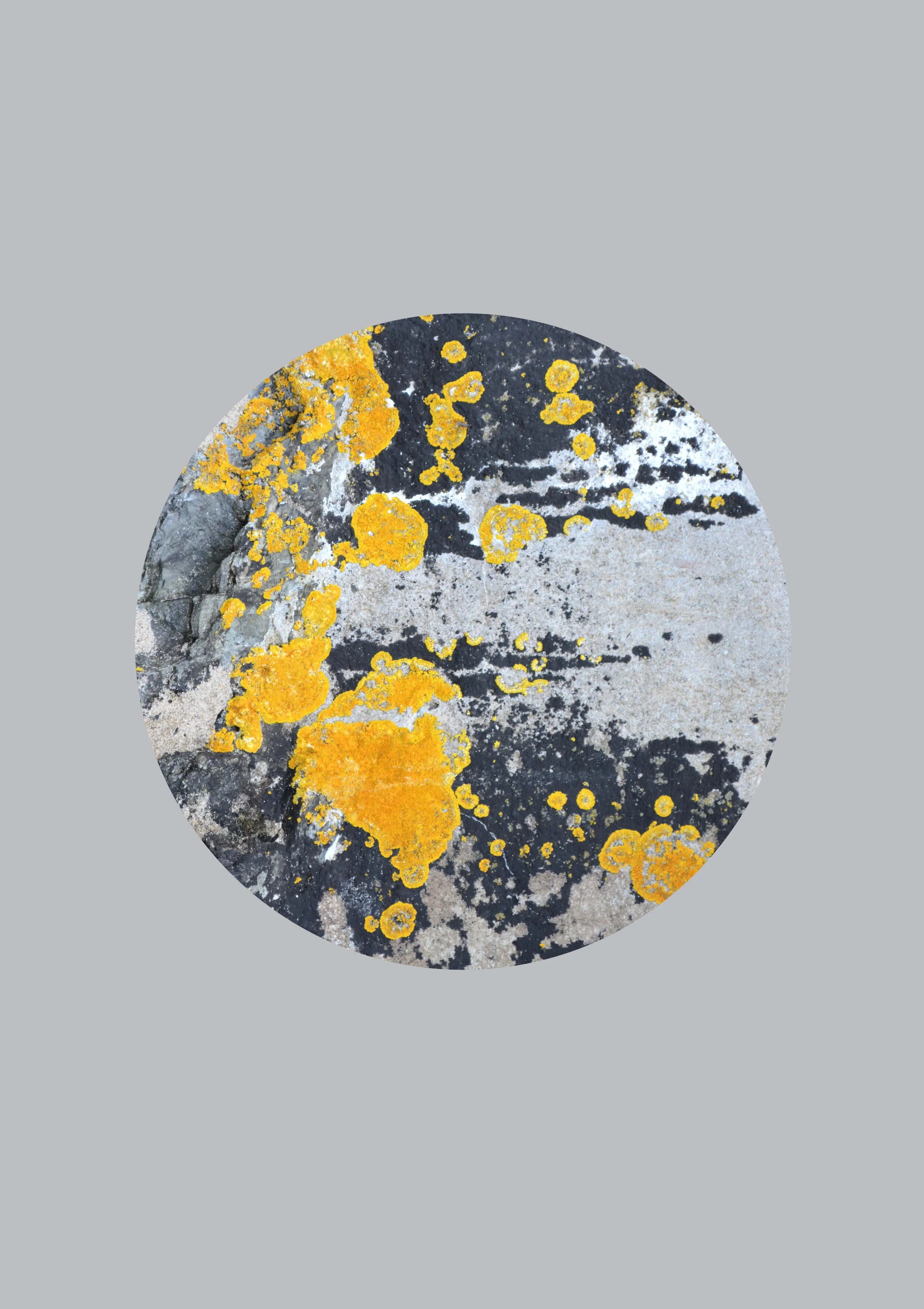 RUTH HOLLY — Soft Grey and Yellow Ochre abstract wall art print