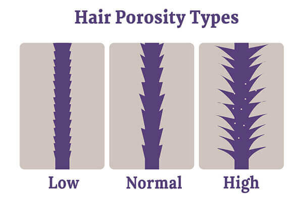 Natural Hair Porosity: What Do We Mean? — Cookie's Real Hair Care