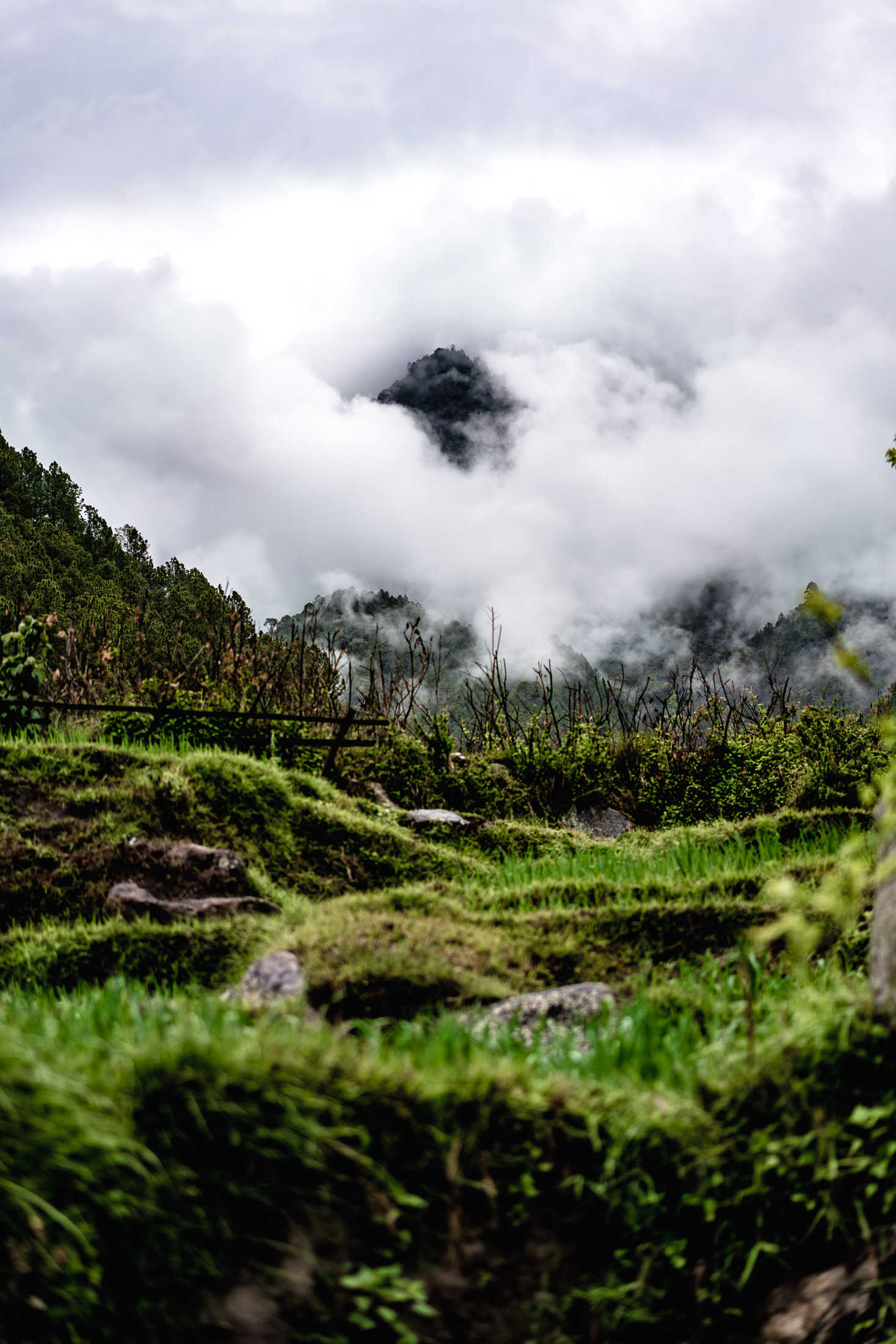 2019.04.07_LHO Bhutan_8264_2200px.jpg