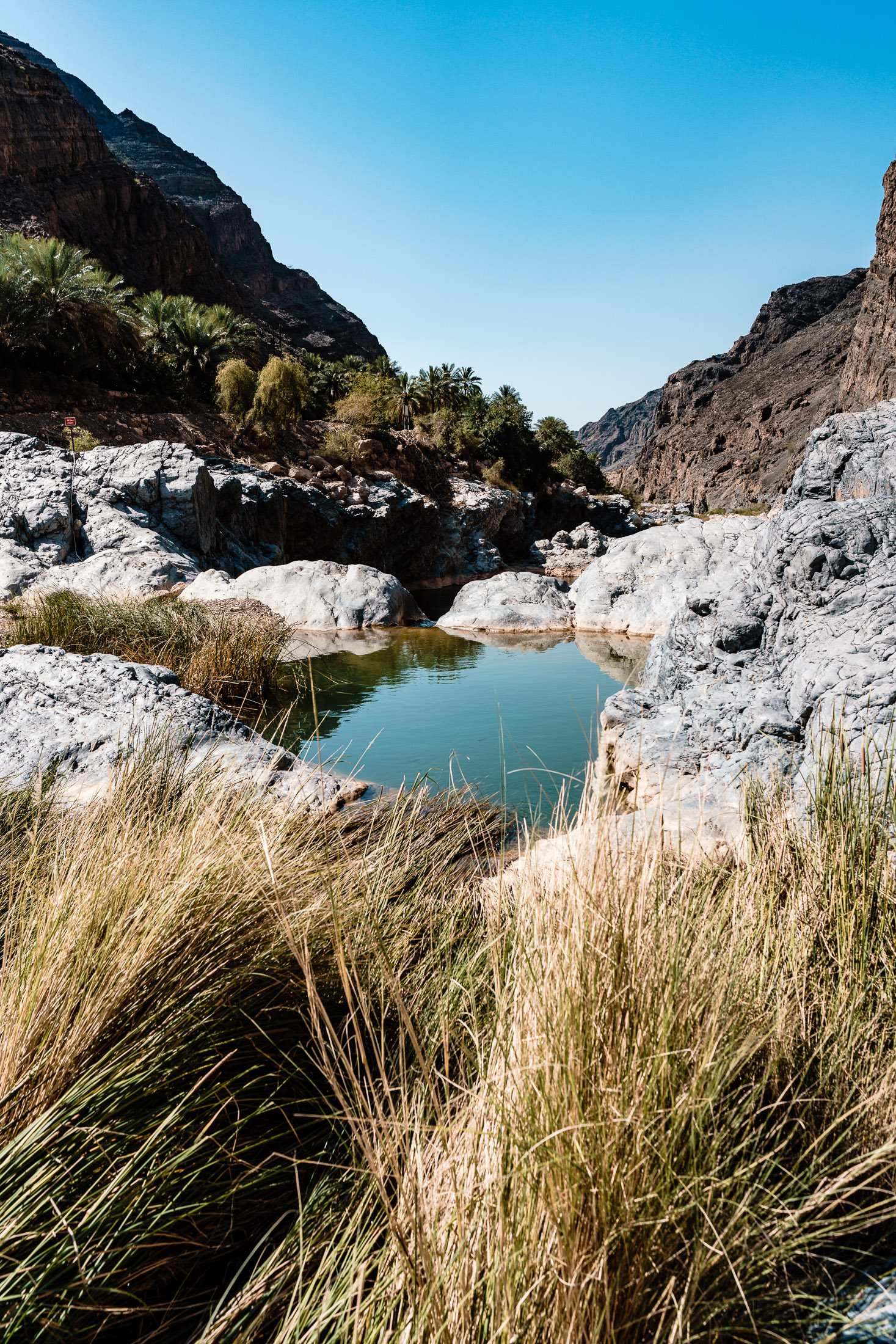 2019.05.01_Oman Solo_7790_2200px.jpg