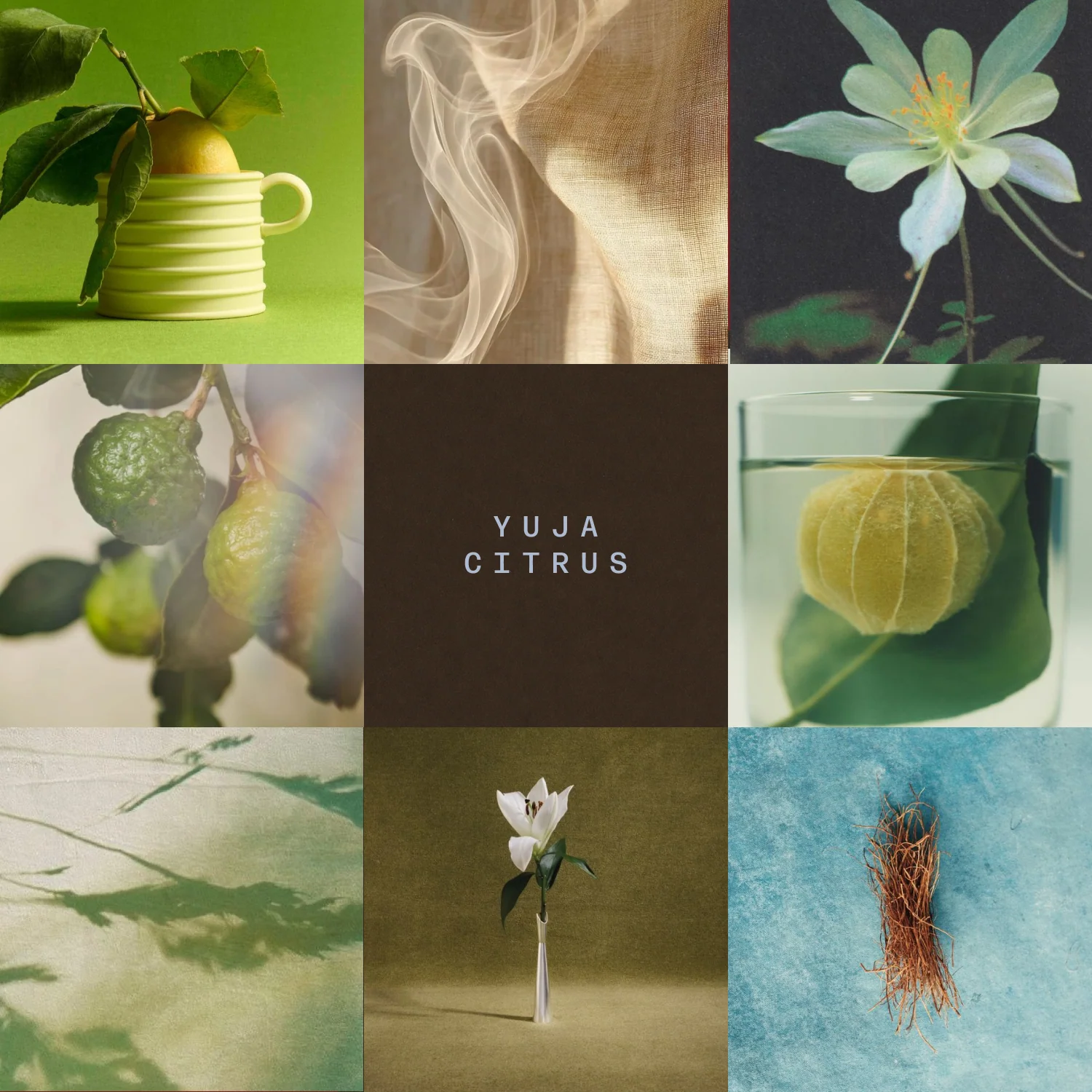Yuja_2087c78f-ba97-40de-a99b-5d3f03f654a2.png