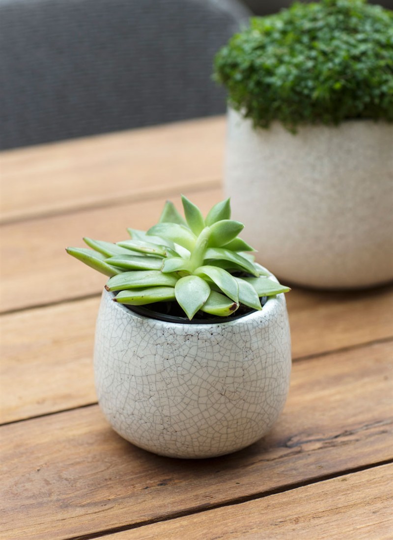 Ravello-Pot-Small-Ceramic-White-PLCE04.jpg