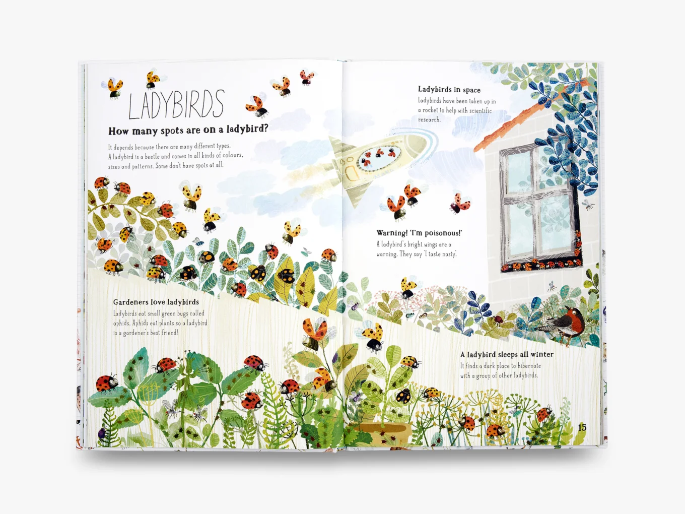 9780500650677_in01_big-book-of-bugs_1.jpg