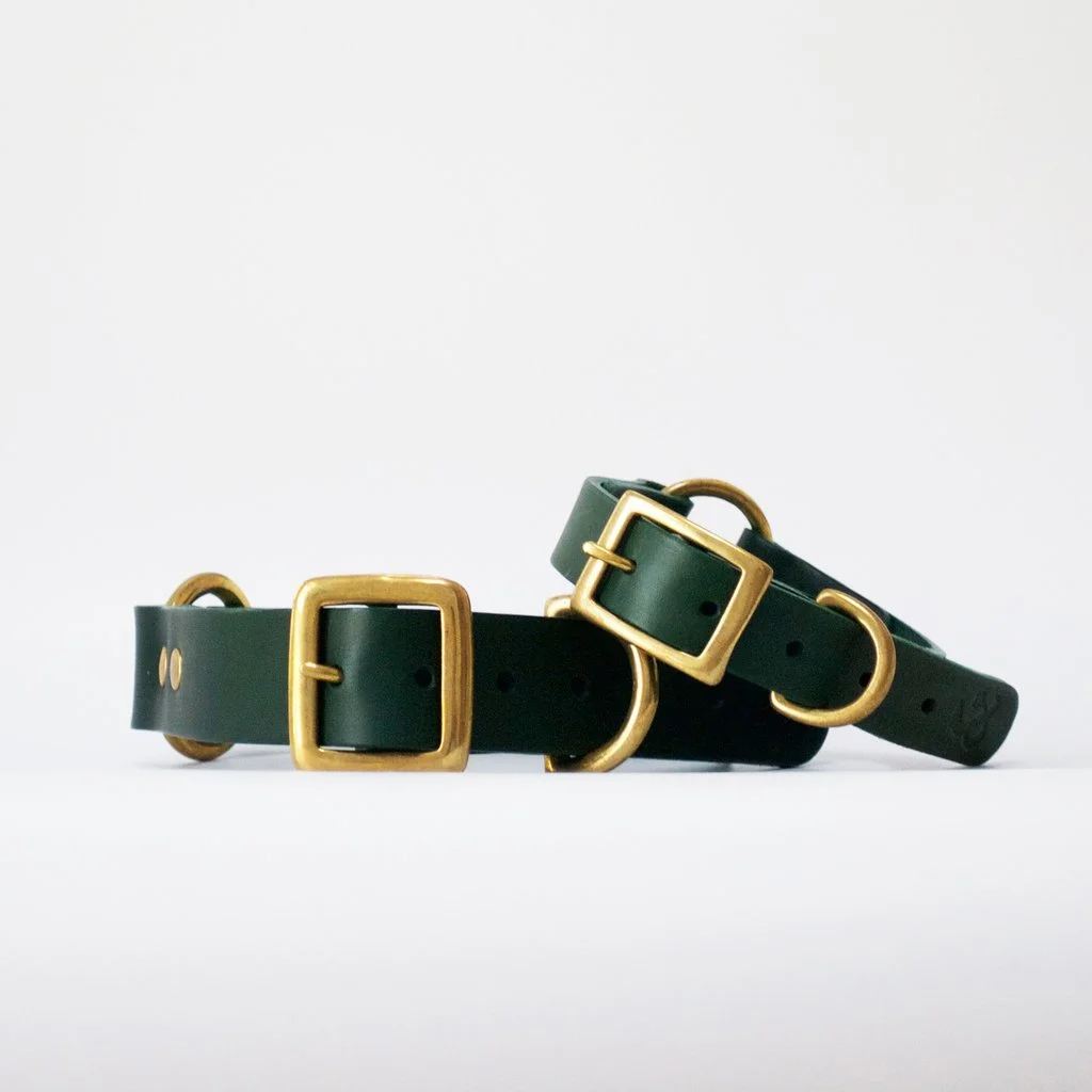 Collar_Green.jpg