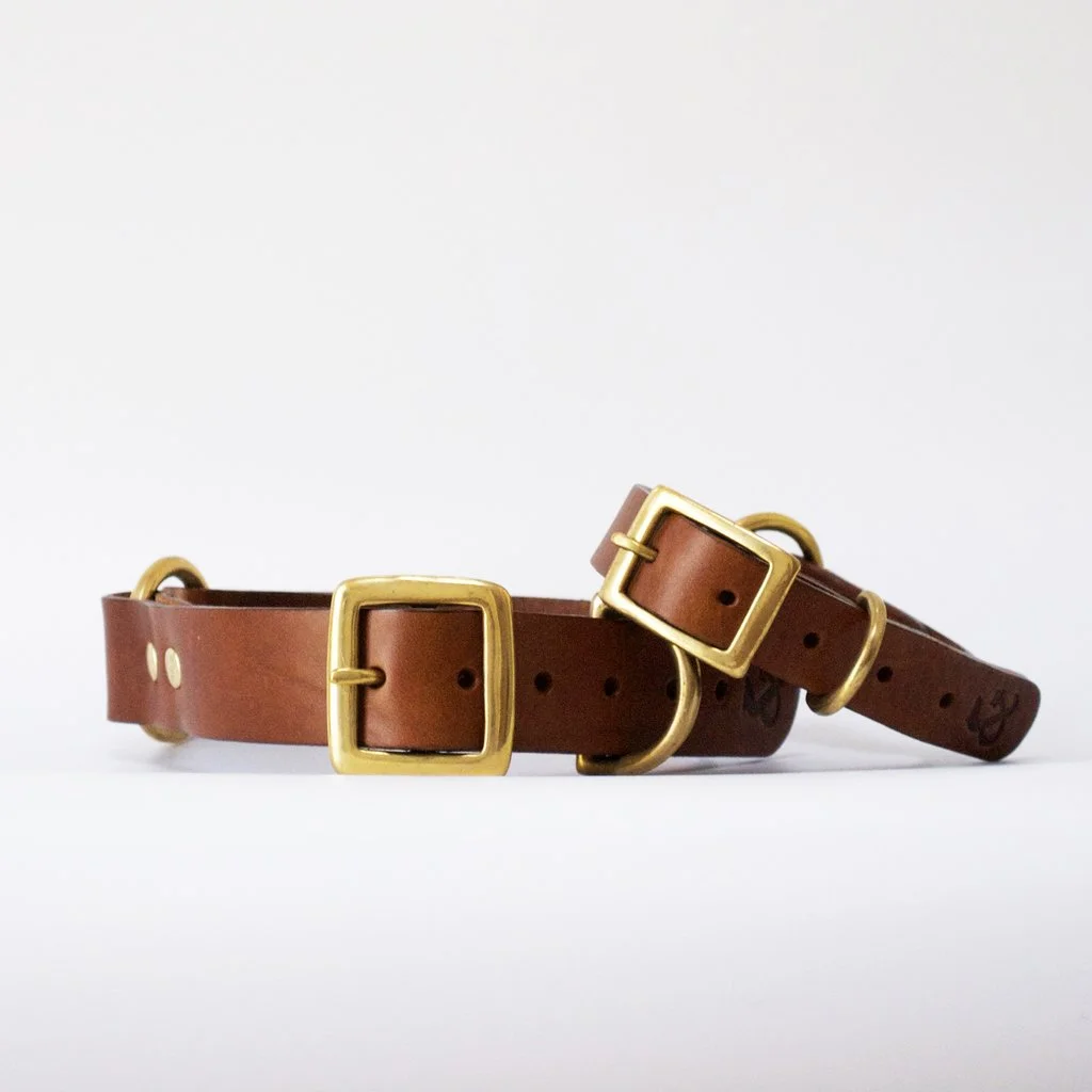 Collar_Tan.jpg