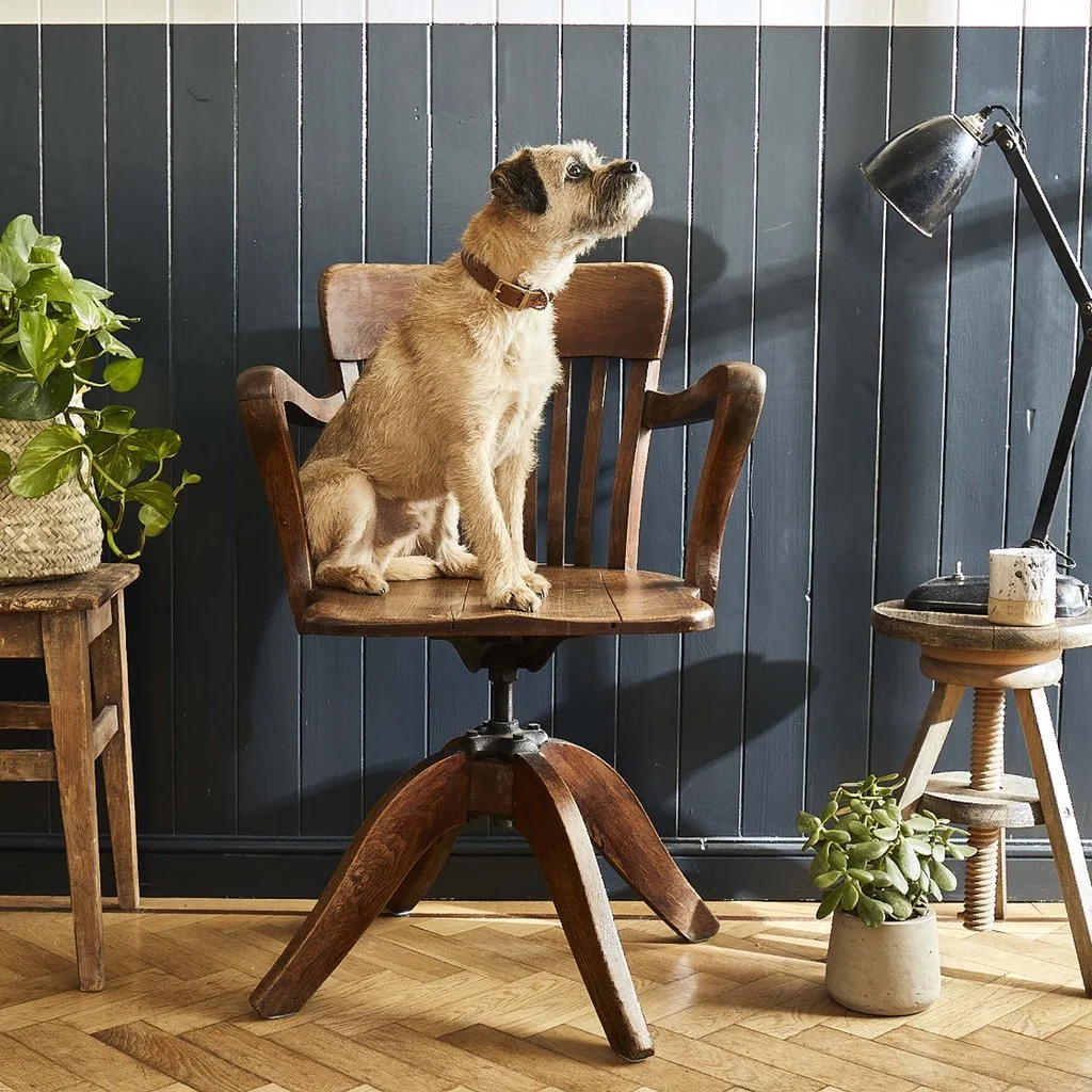 SS18_Fetch_Follow_Chairs_0869_1_1024x1024.jpg
