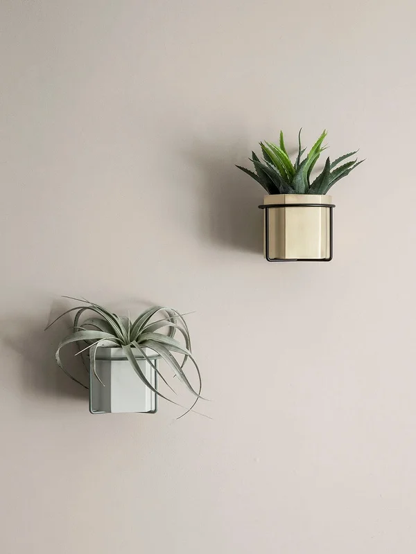 Plant Holder - Dusty Green 2.jpg