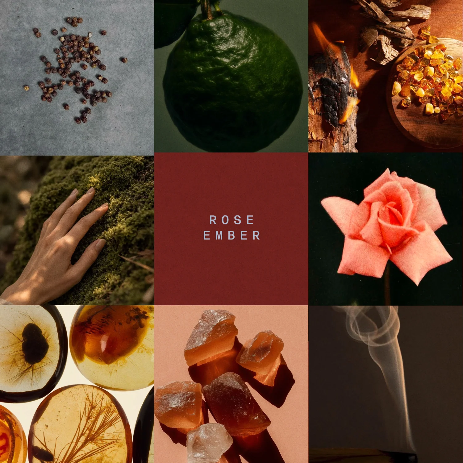 Rose.png