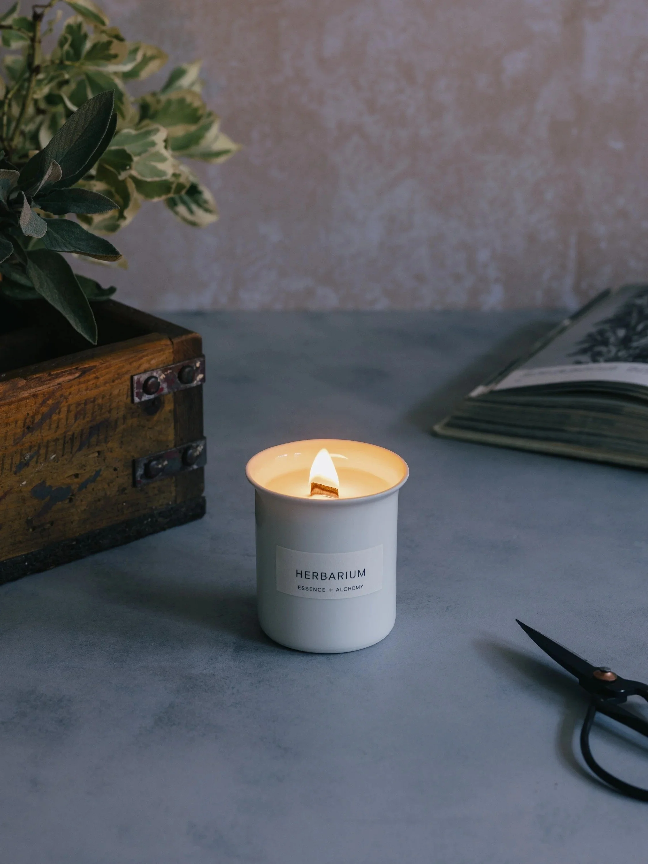 Herbarium Candle - Essence + Alchemy