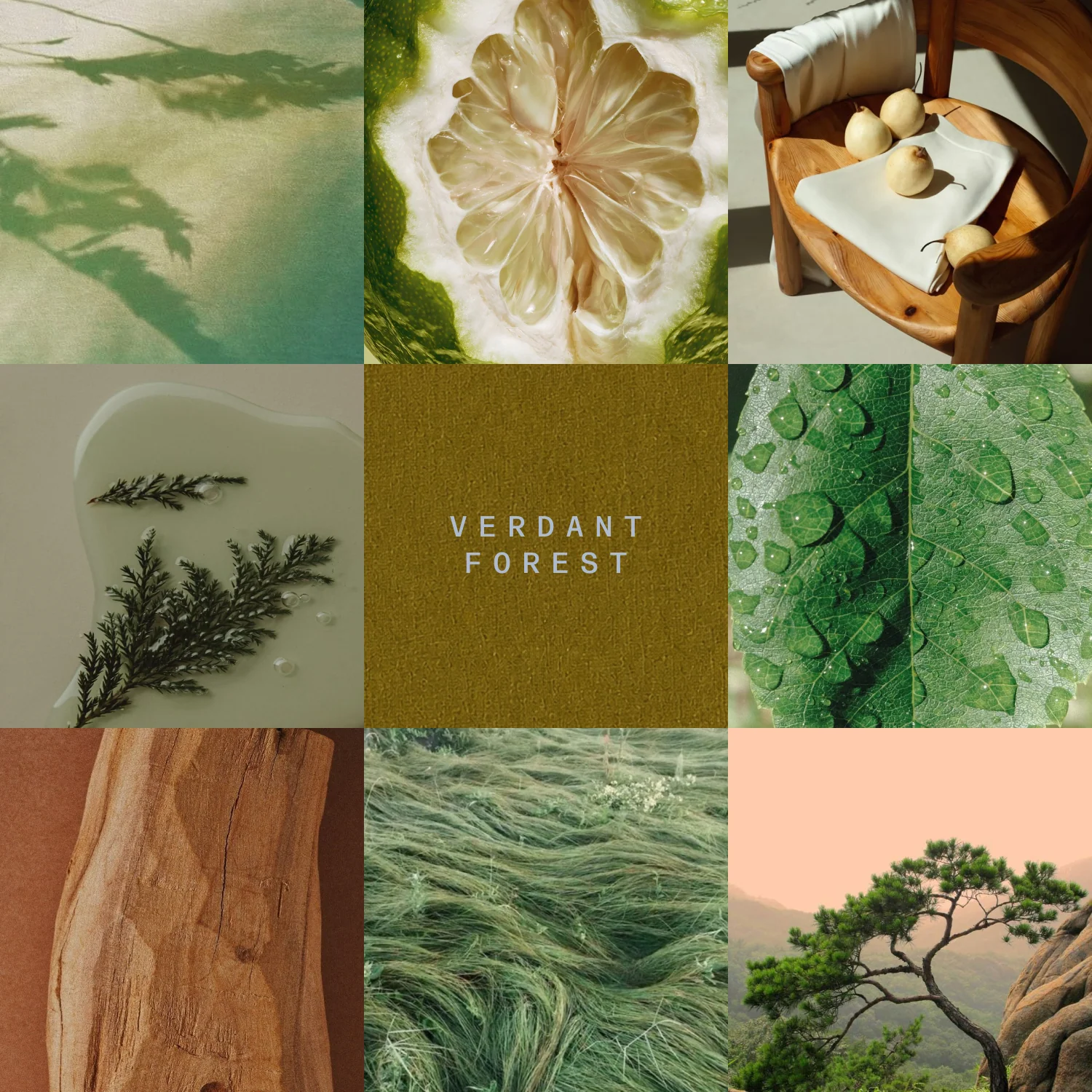 Verdant_0018777a-5577-41bd-b56c-3db31ffa526f.png
