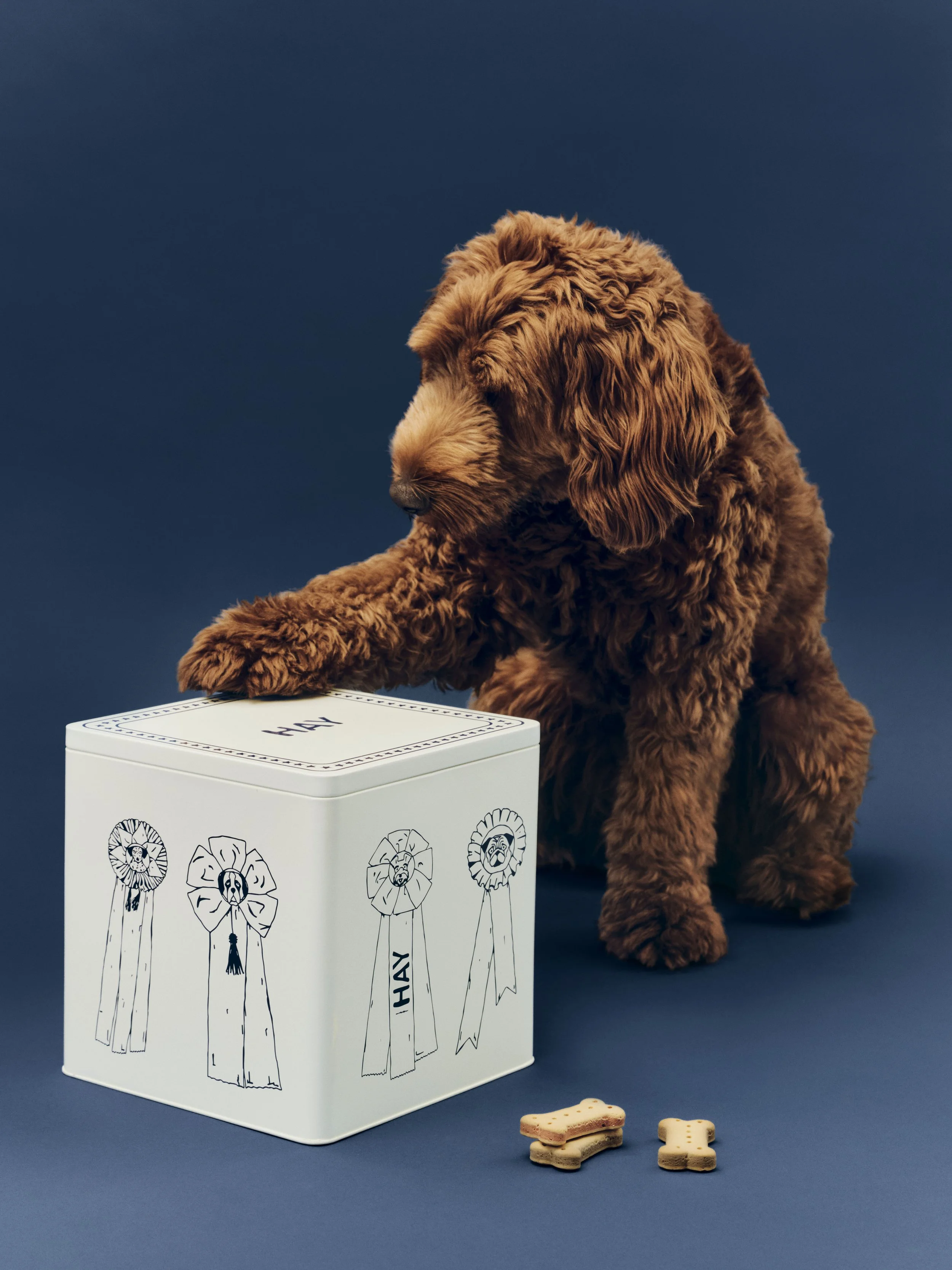 HAY Dogs Food Storage Tin_01.jpg