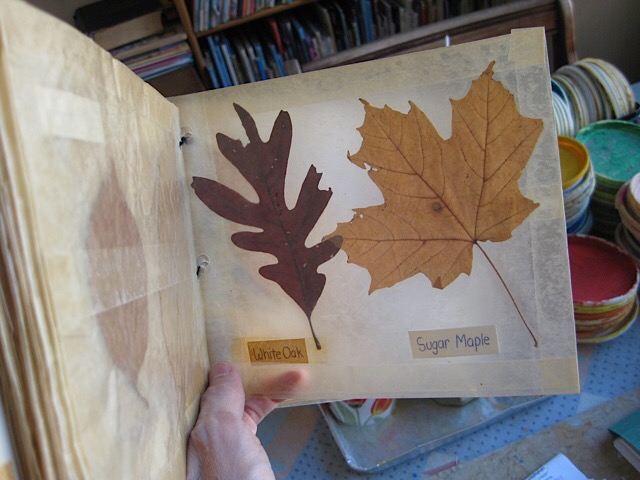 My first leaf book that I made when I was in 4th grade - and saved for all these years!