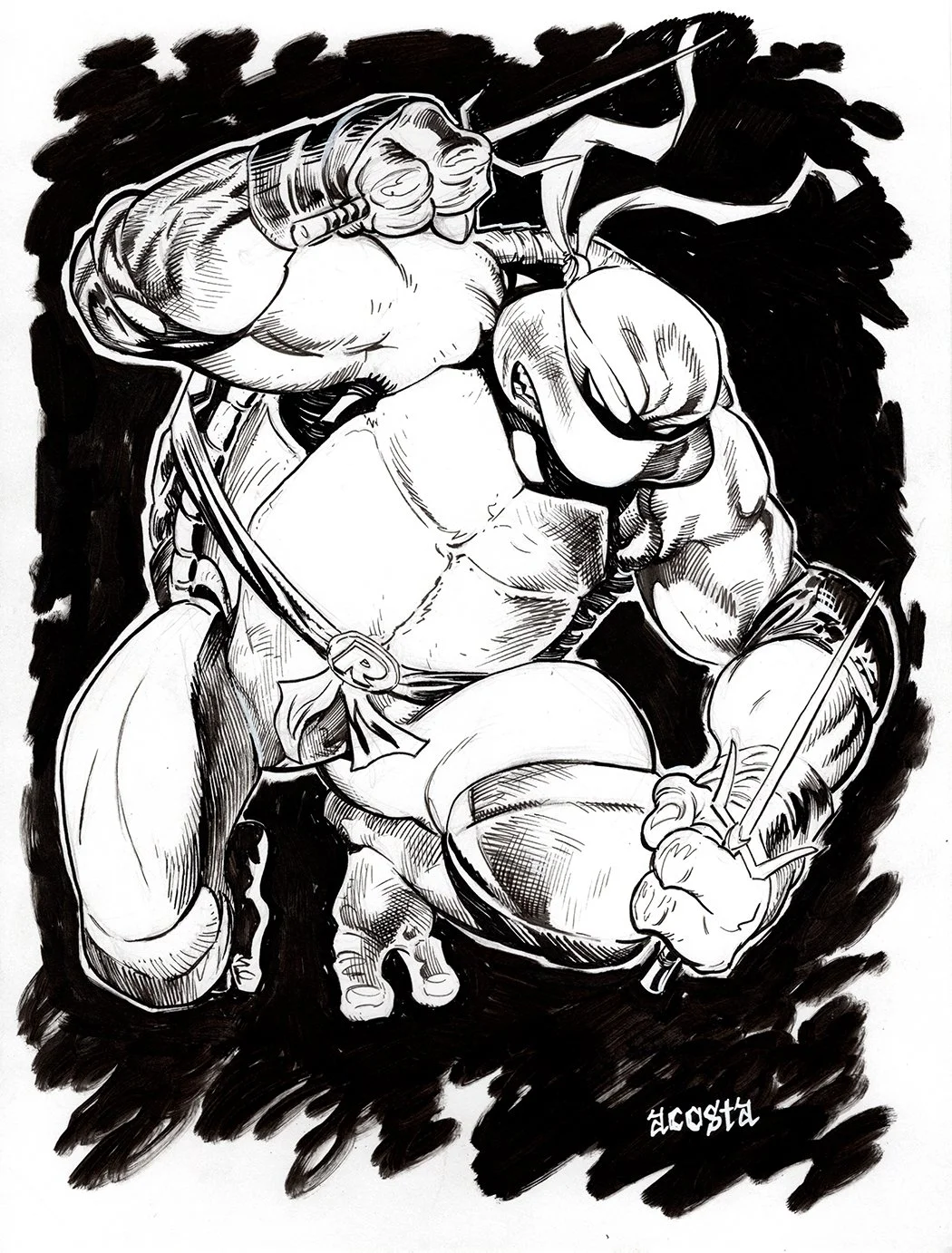 Raphael inks.jpg