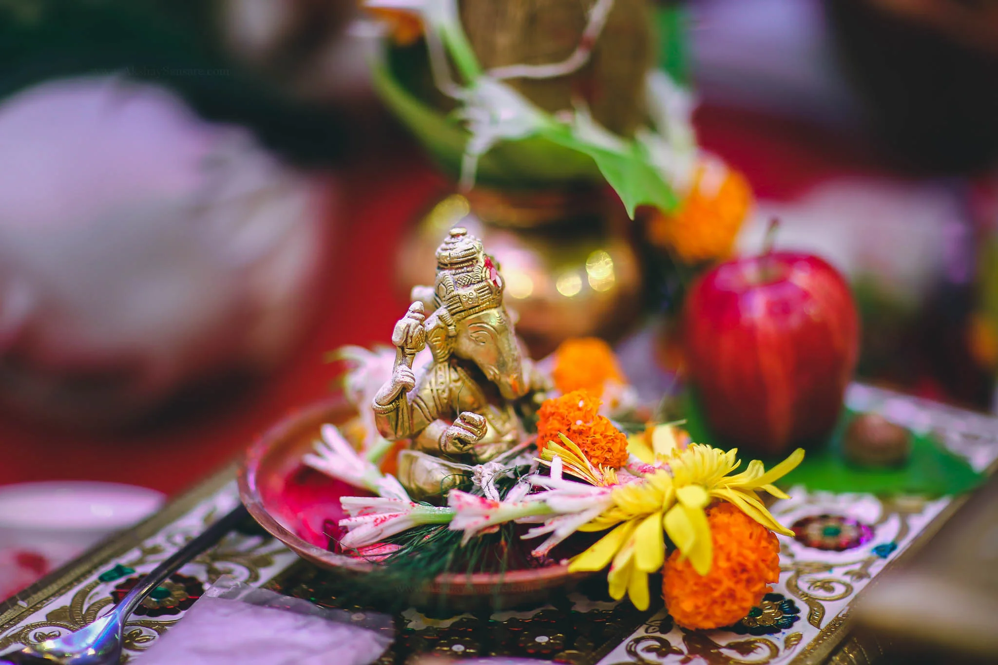 Pinkesh-Khushbu Wedding-17.jpg