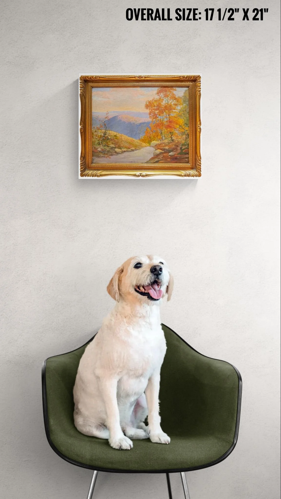 Happy dog sitting on a comfy chair.jpeg