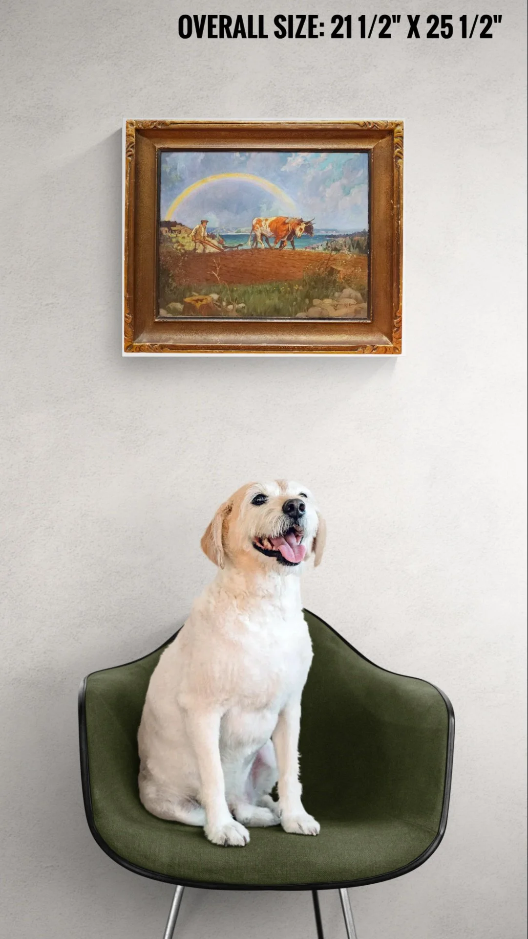 Happy dog sitting on a comfy chair 2026-08-30-18-06 (1).jpeg