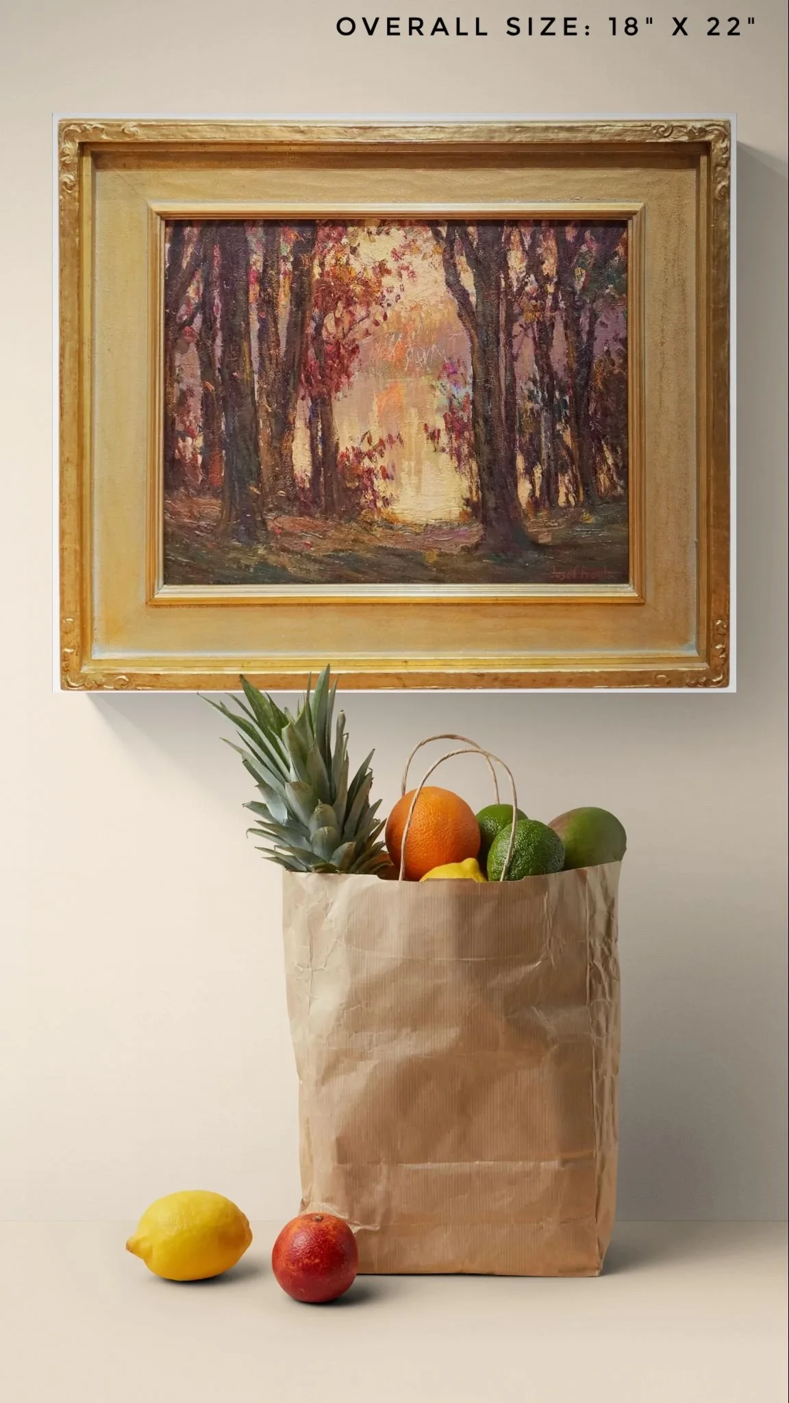 Bag of fruit sitting on a kitchen bench.jpeg