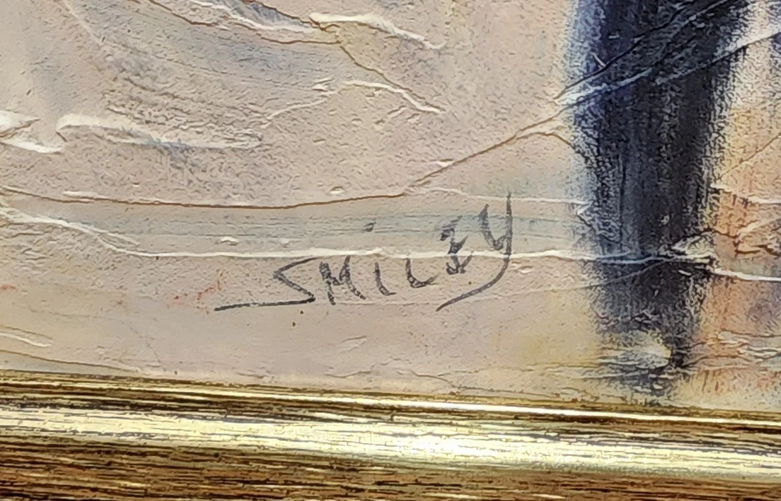 1000021896.jpg