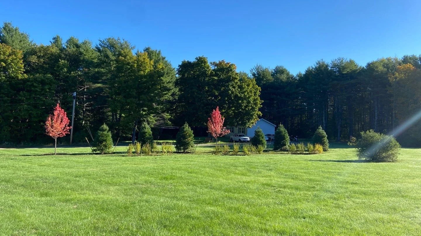 Planting Website-1-Sep 29 2022 12_38pm-gK6c.jpg