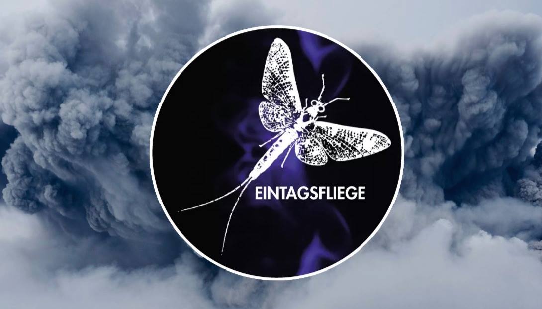 eintagsfliege.jpg