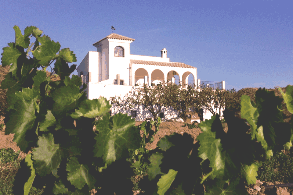 Bodegas-Vilaplana.gif