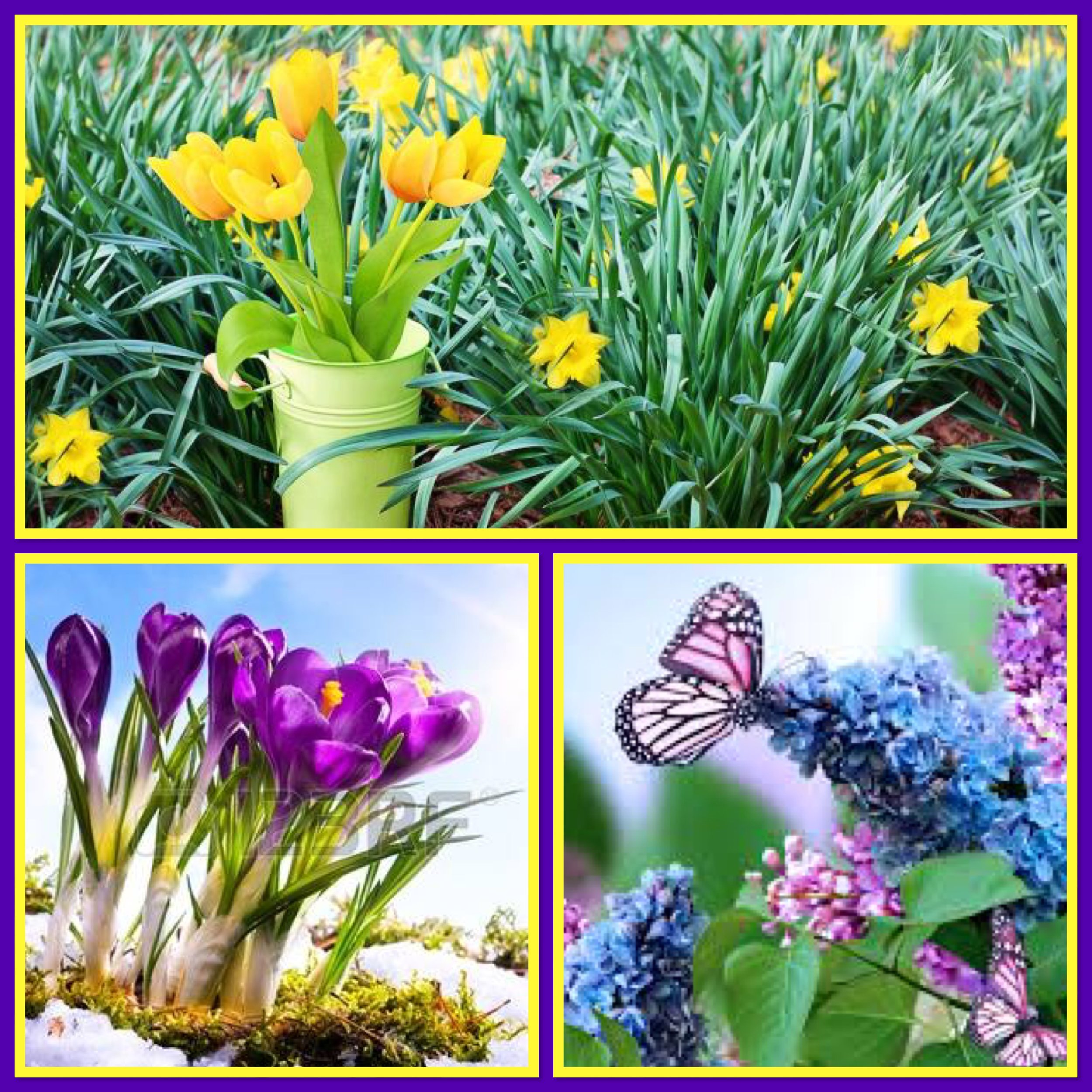 The March Winds That Blow