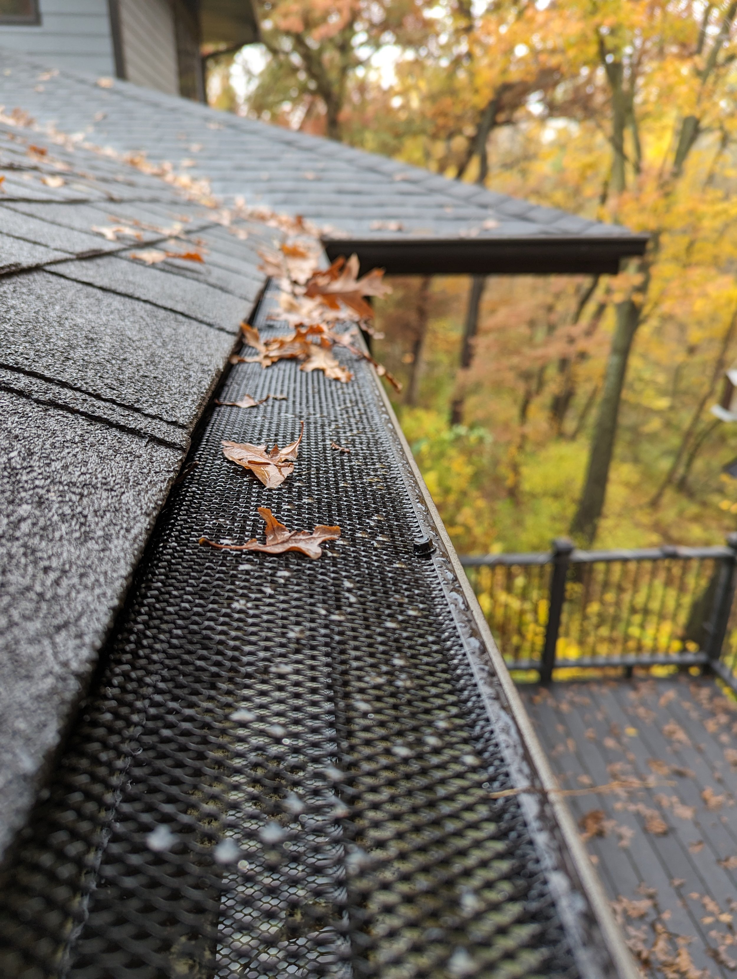 Close-up of "Elite", our most popular leaf guard, installed on a residential guter, helping keep leaves out of the gutter.  