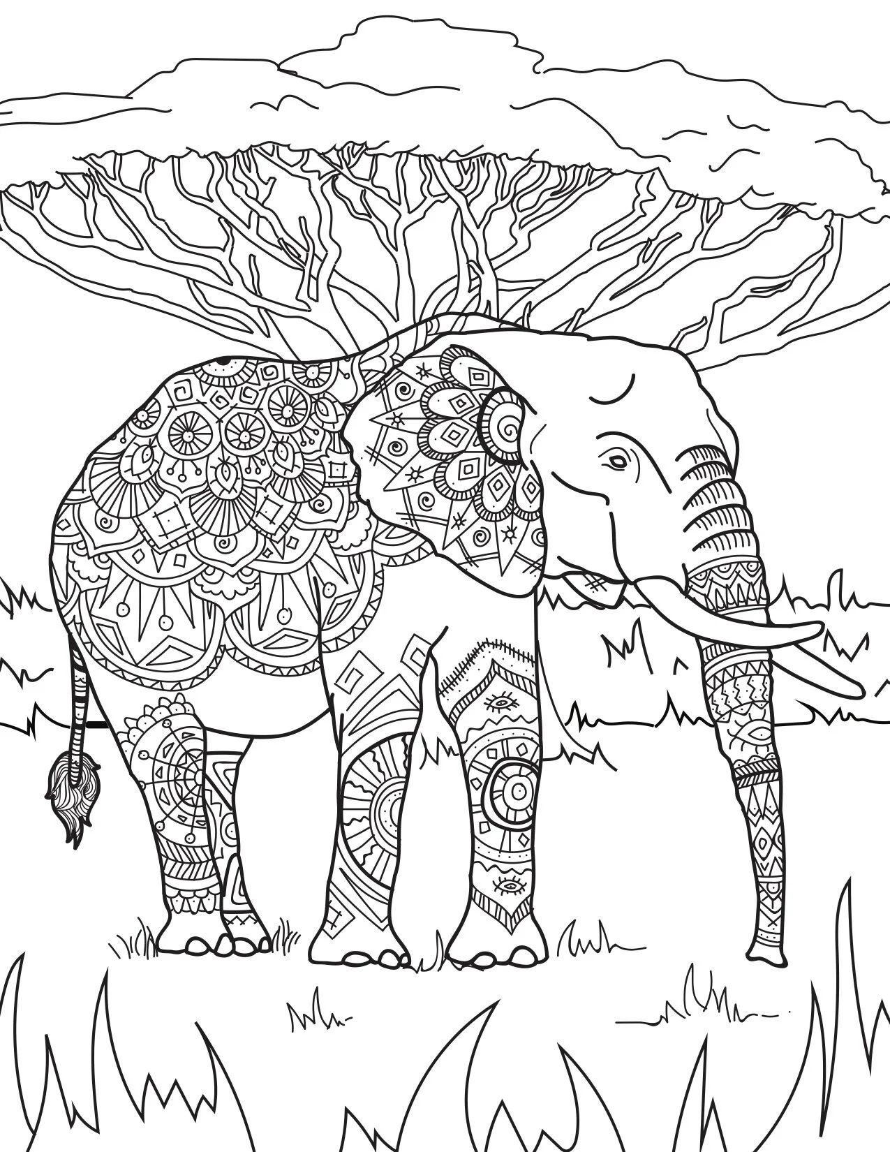 Elephant_FINAL.jpg