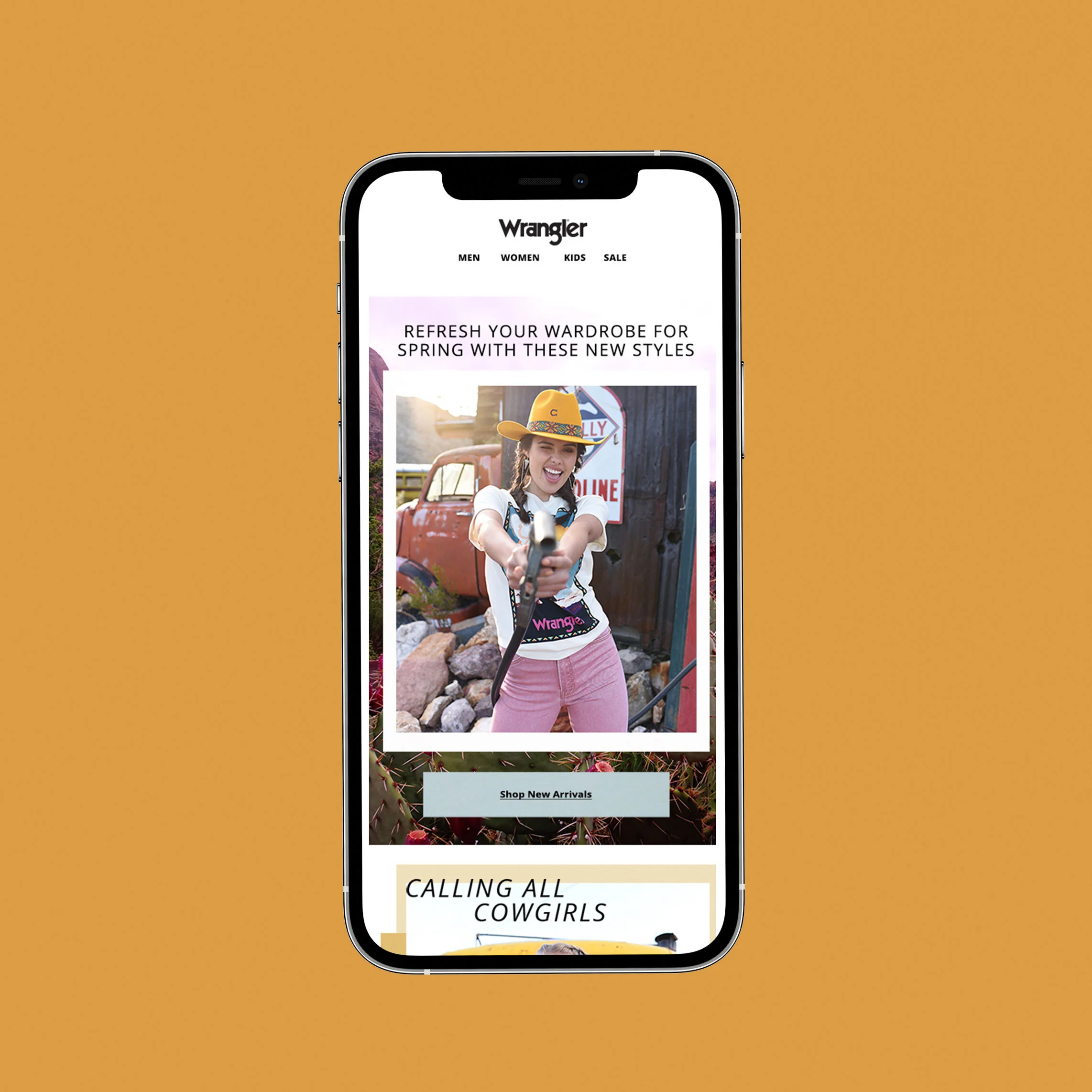 View email pdf here.