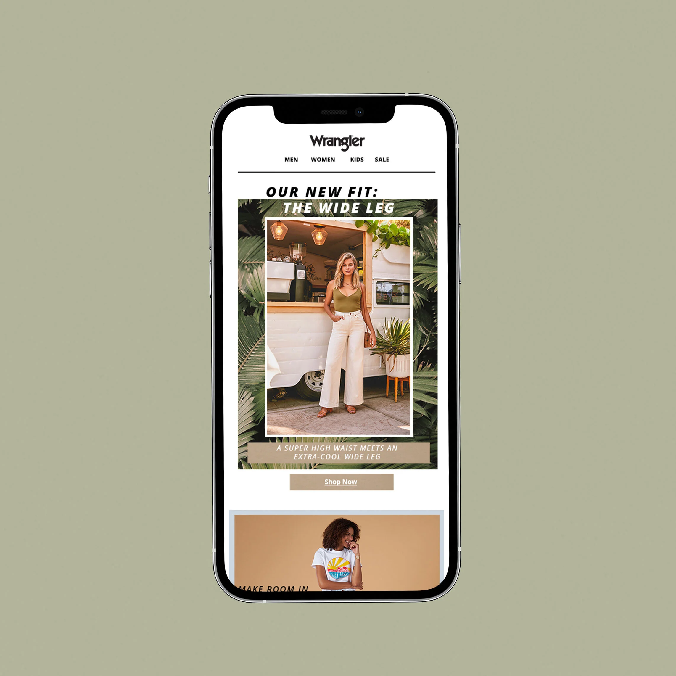 View email pdf here.