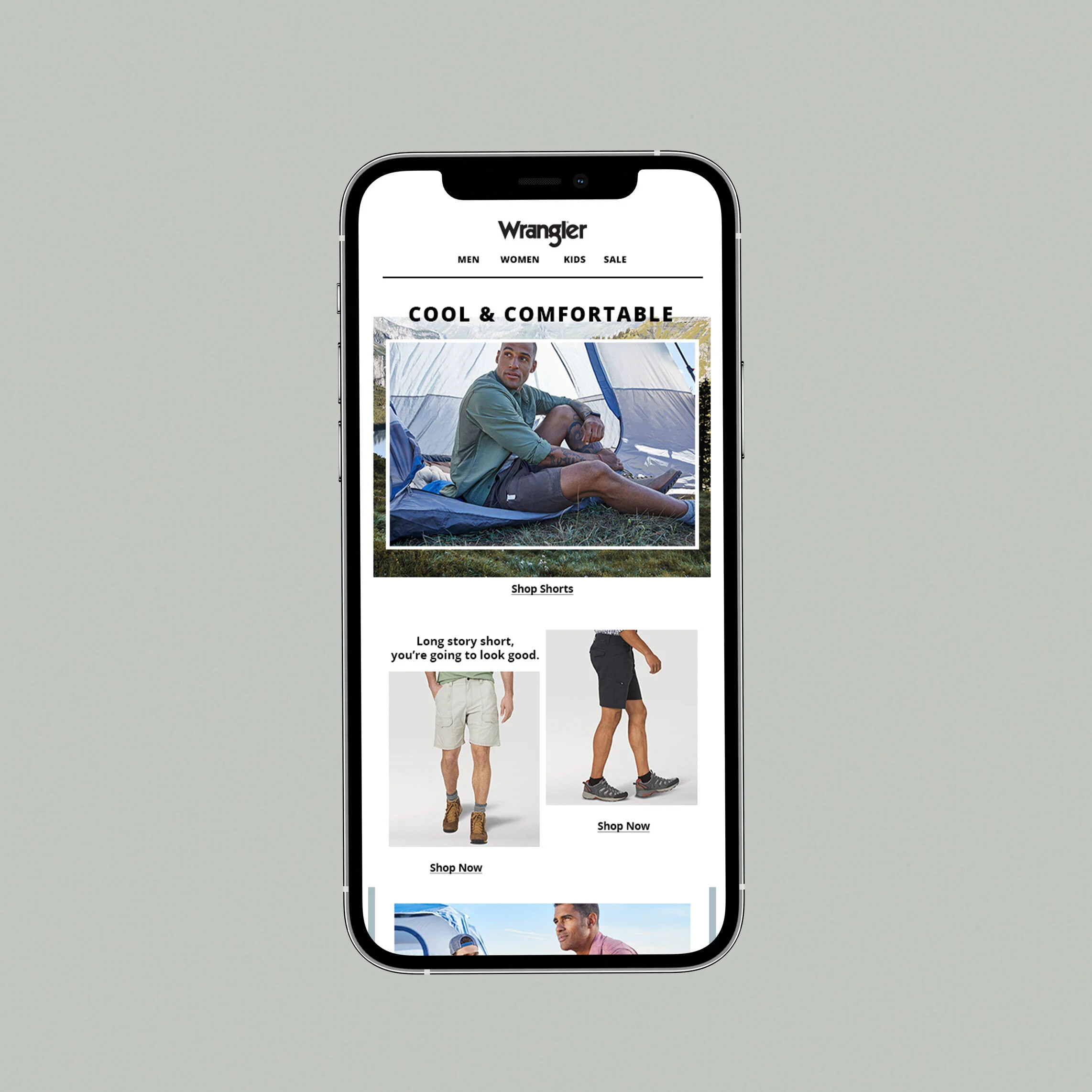 View email pdf here.