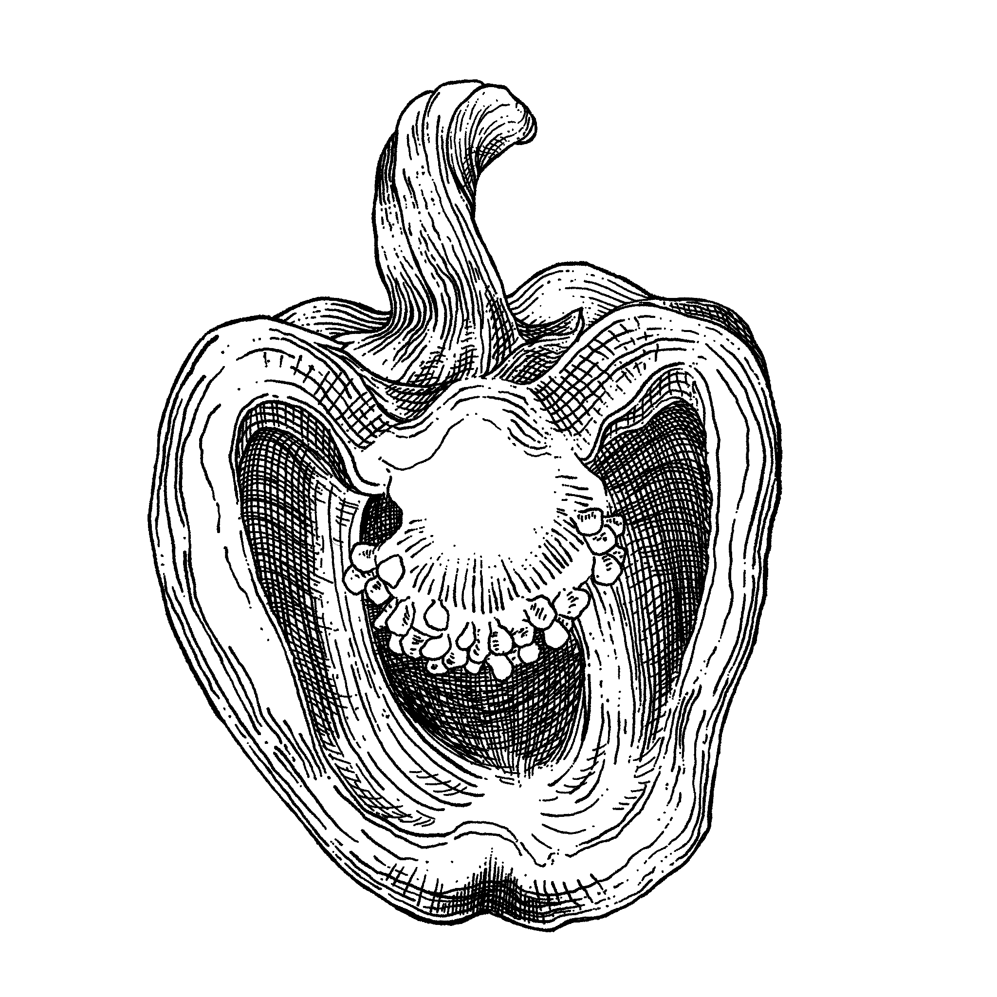 Untitled_Artwork 13.png
