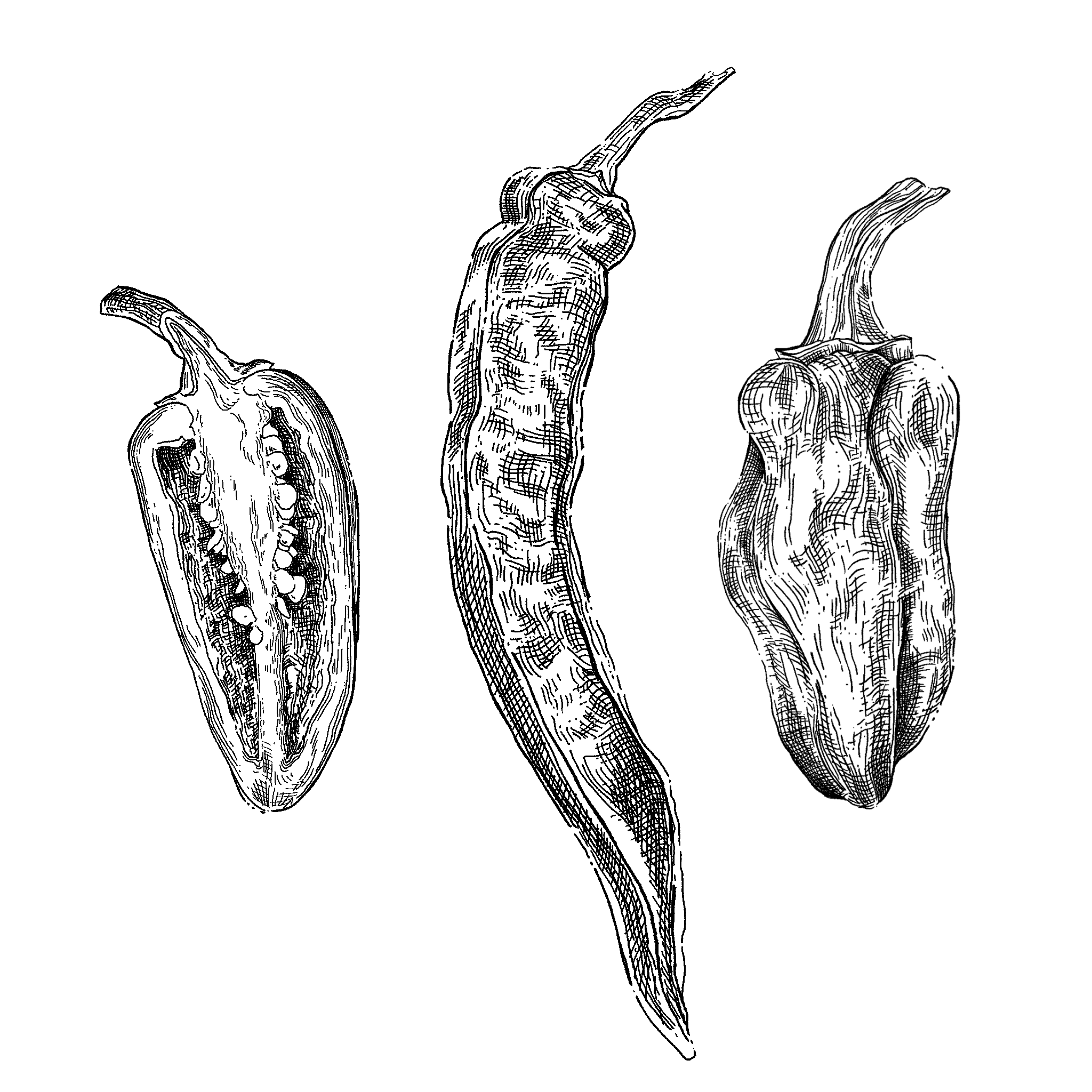Untitled_Artwork 15.png