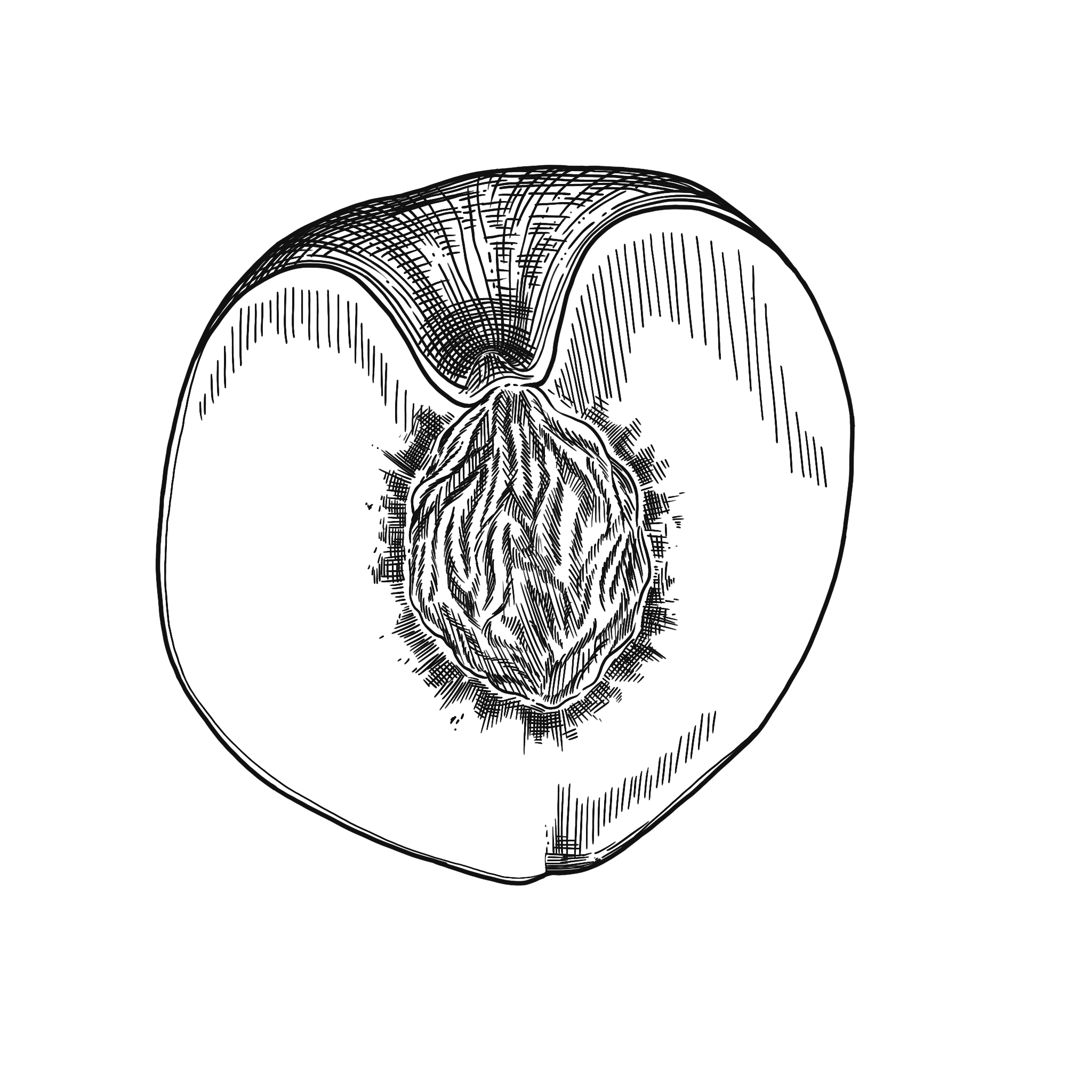 Untitled_Artwork 16.png