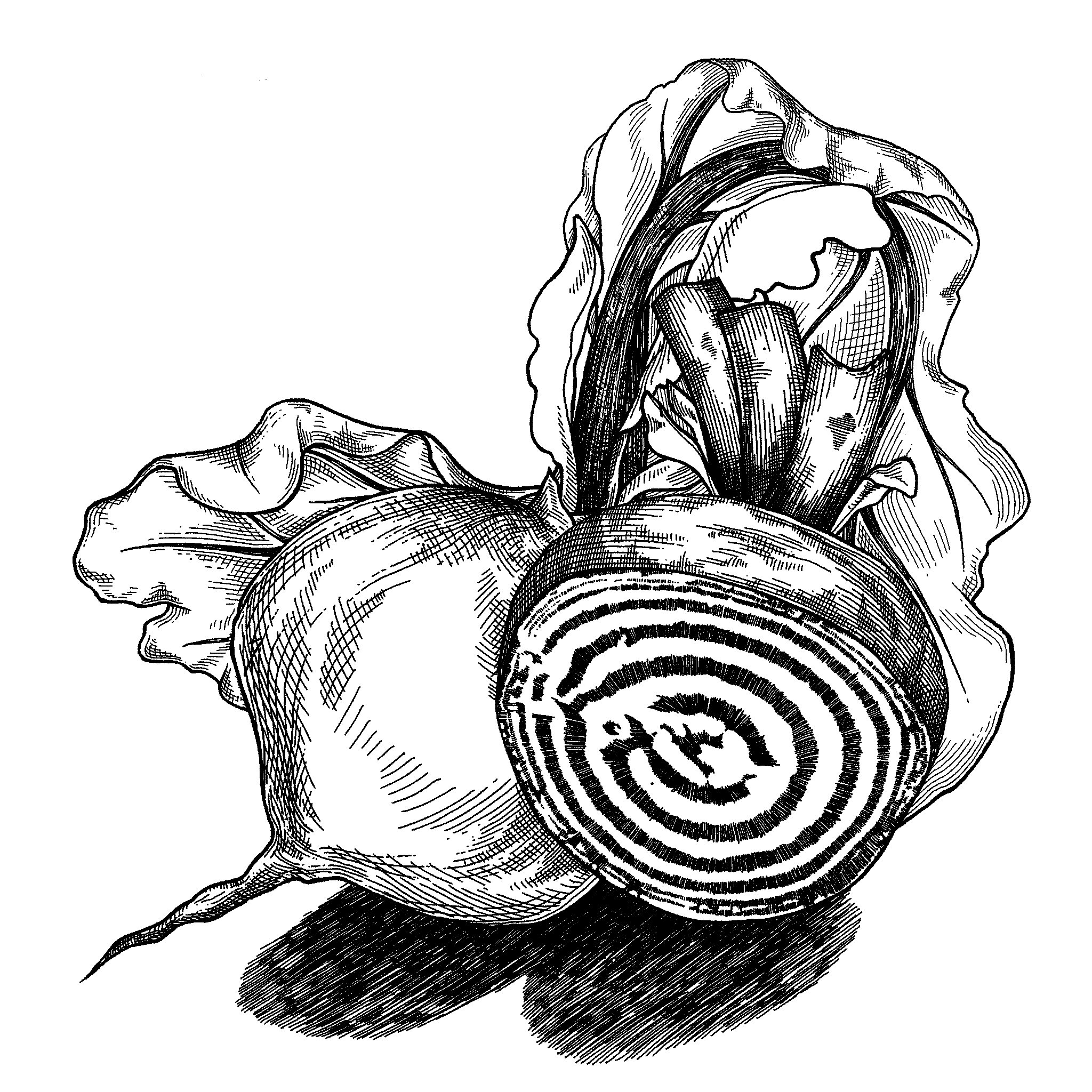 Untitled_Artwork 20.png