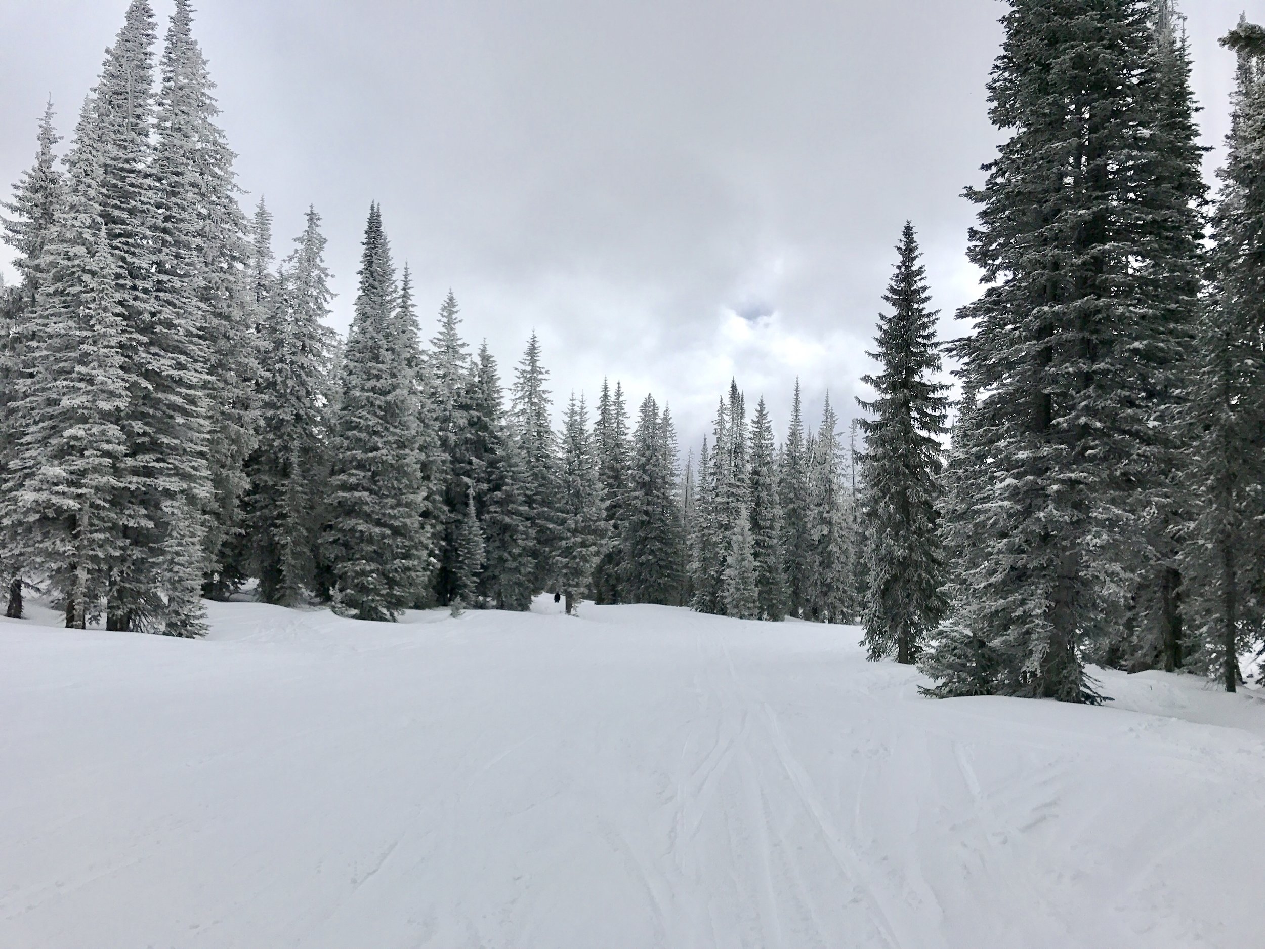   Beautiful, quiet, snowy morning.  