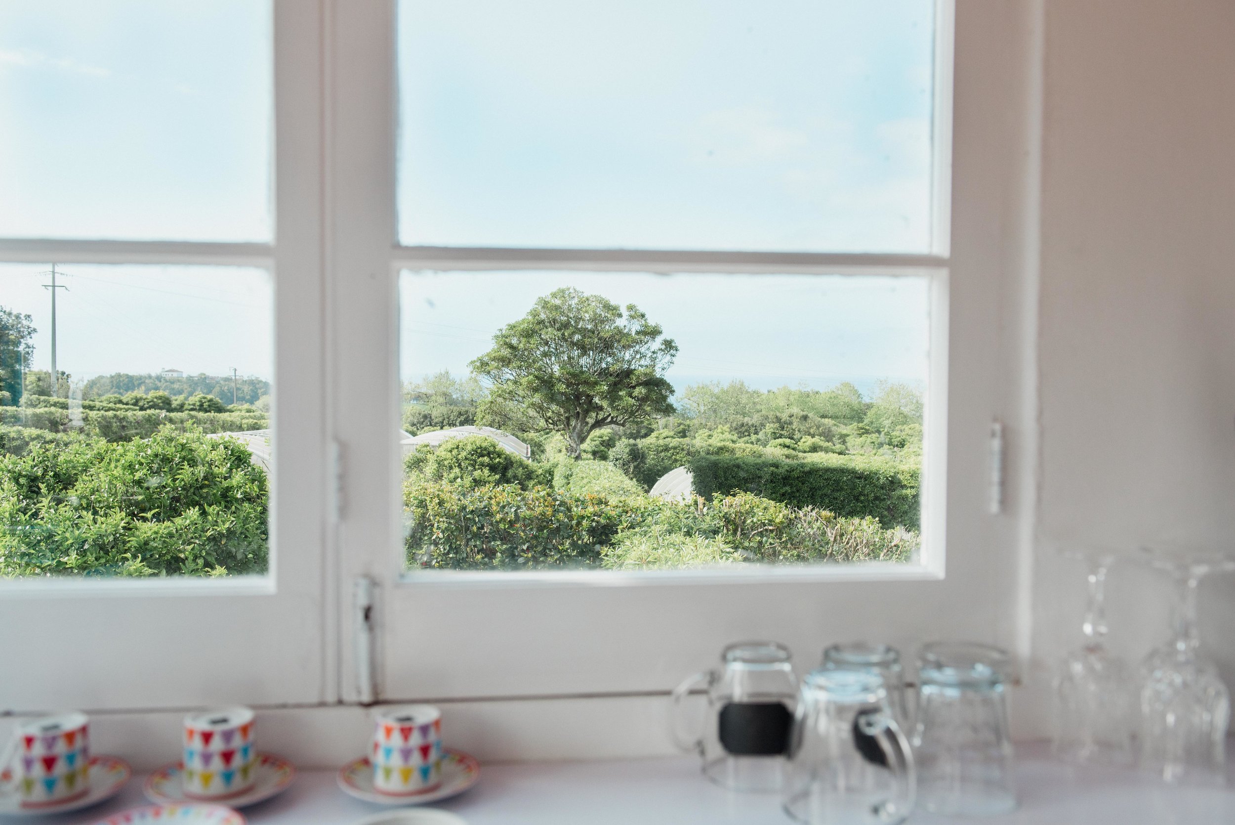 kitchen views