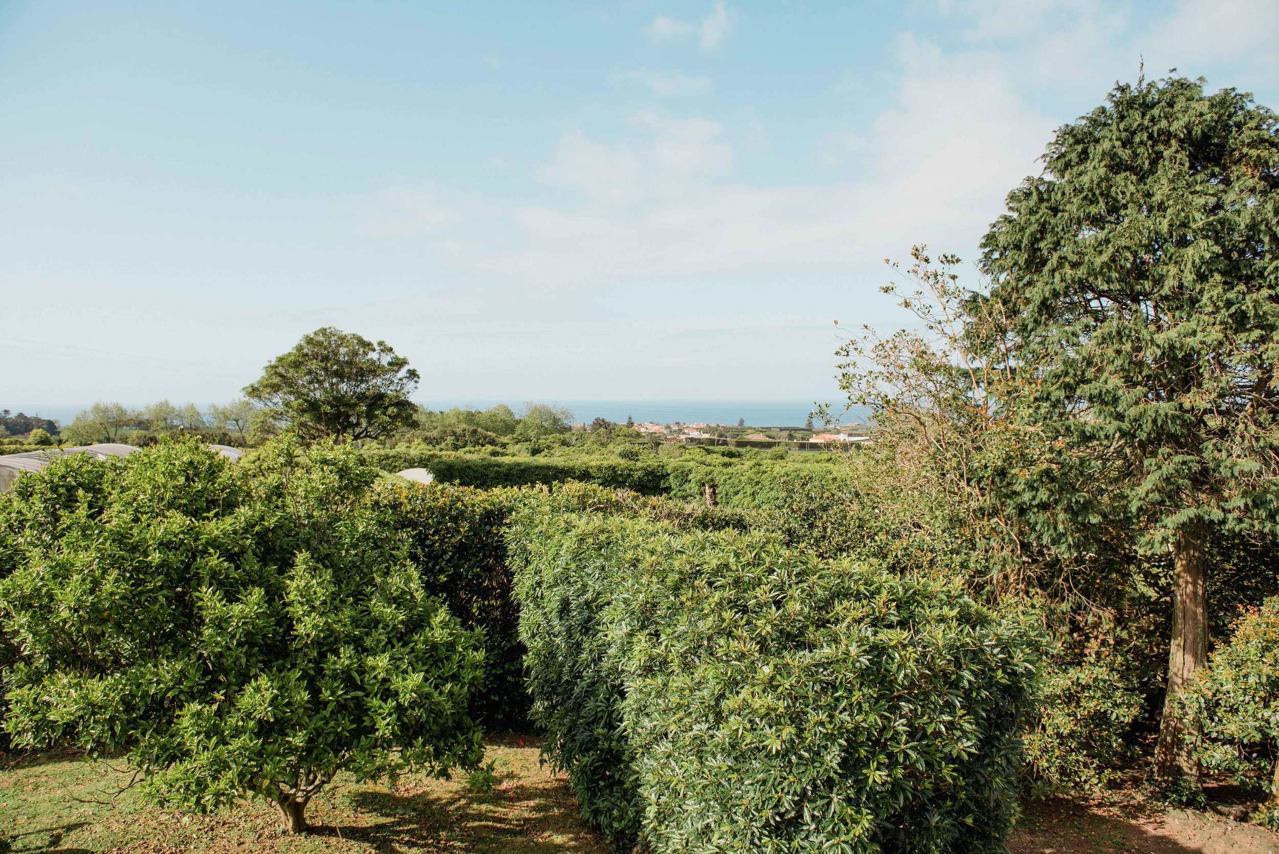 more farm views