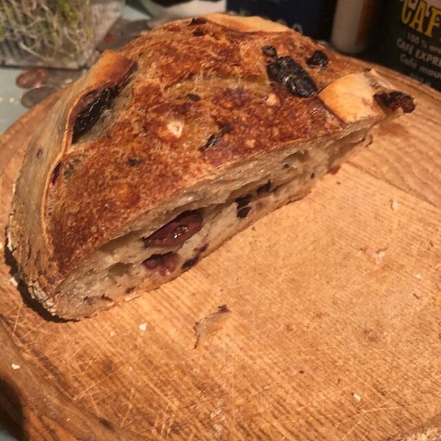 Olive truffle sourdough courtesy of my incredibly talented daughter Maite Jacobson!❤️💋thank you for the beautiful loaf! Delicious! #masterbaker #breadoflife #bakingfromscratch #breadmaking