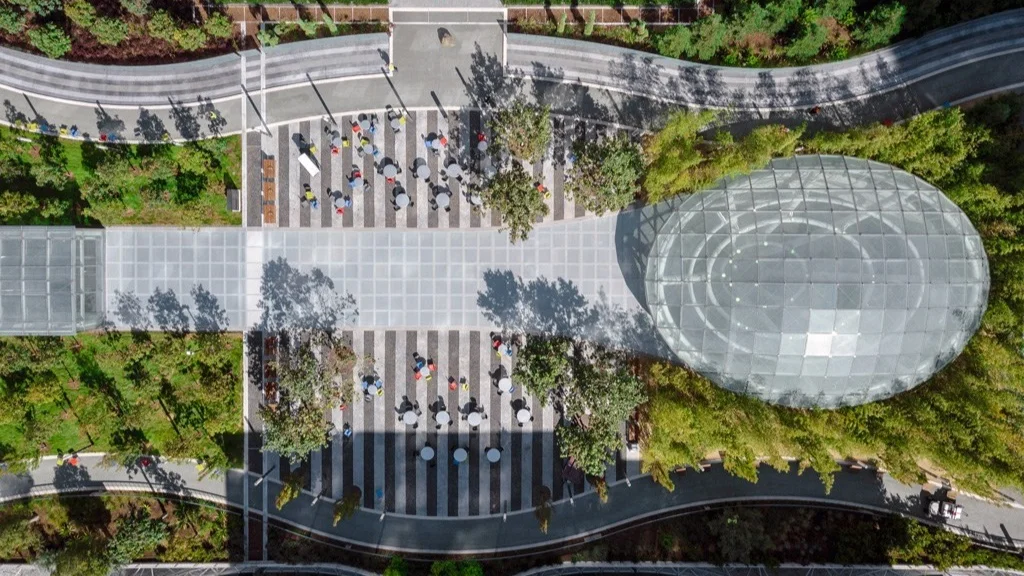 Salesforce Day Care Landscape - San Francisco California